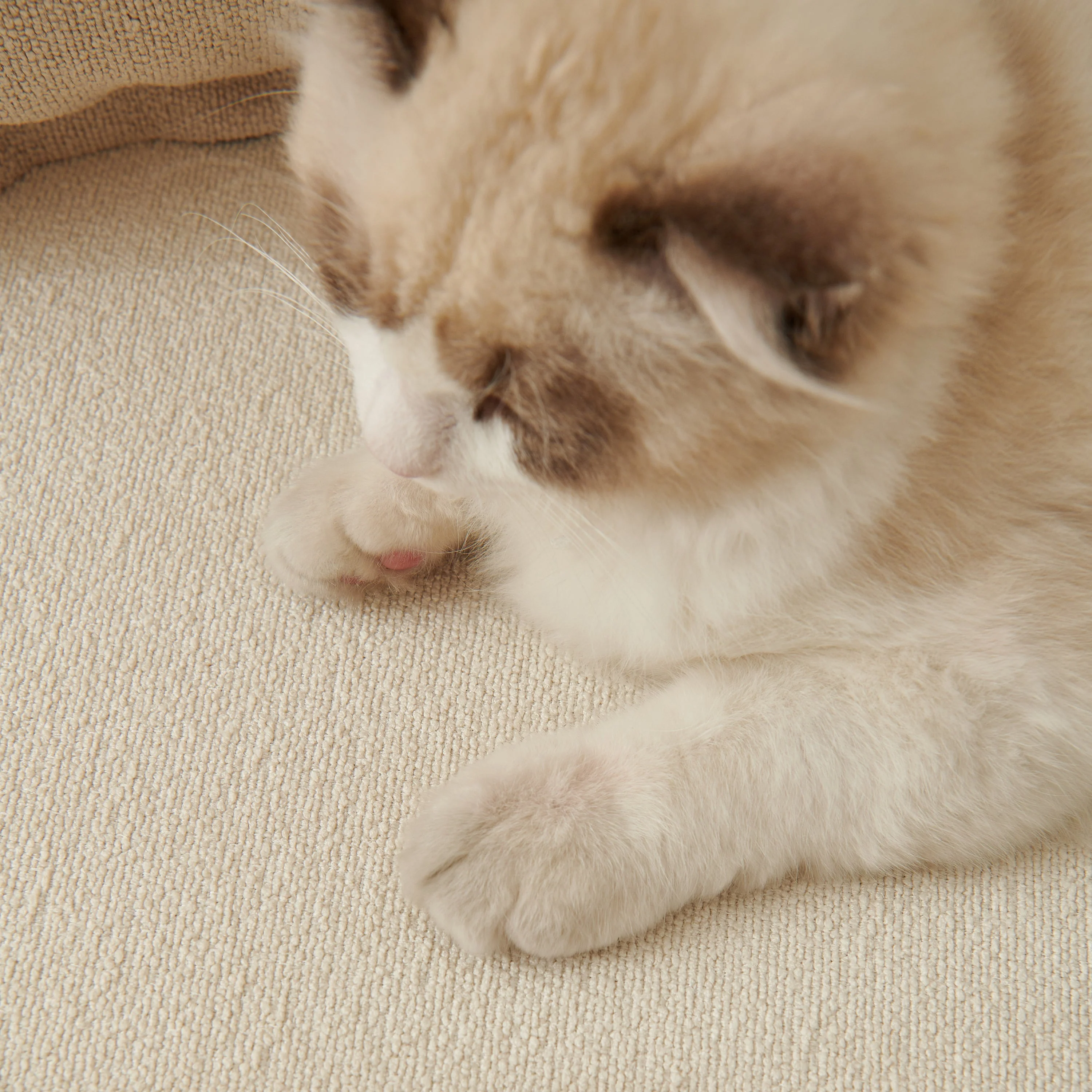 Luxurious Teddy Velvet Solid Sofa Towel - Non-Slip Waterproof Sofa Cover Furniture Protector and Pet Couch Cover - Image 3
