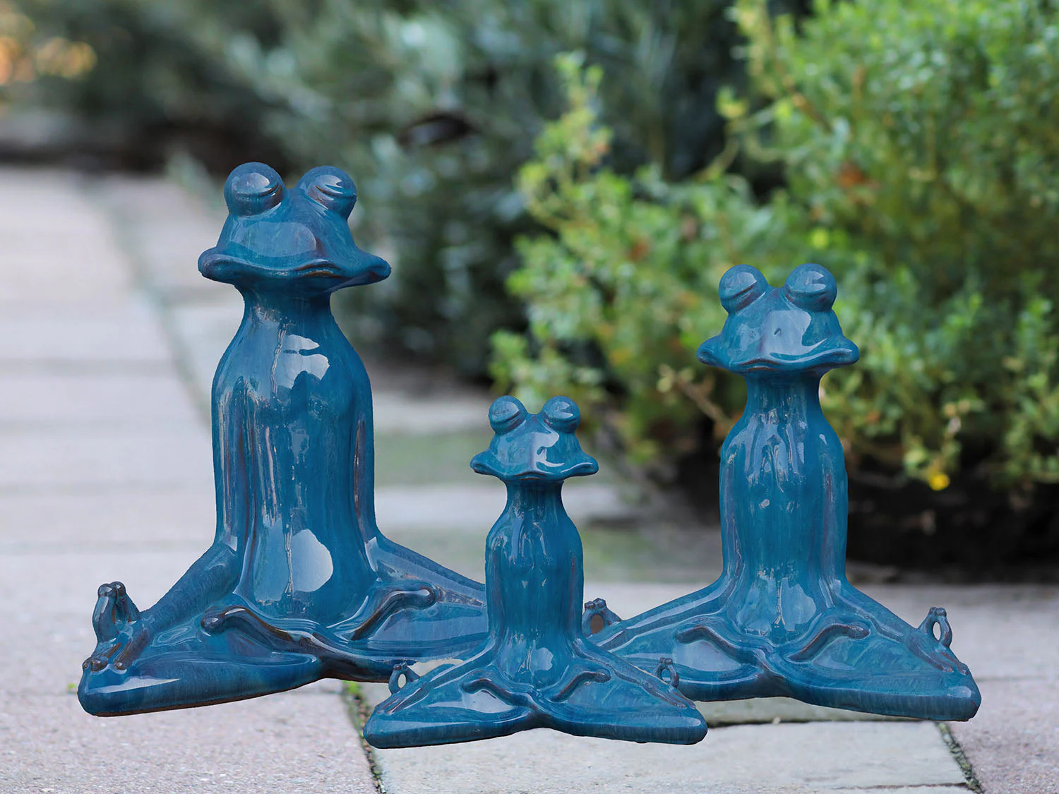 Meditation Frog By Plantatorem - Image 9