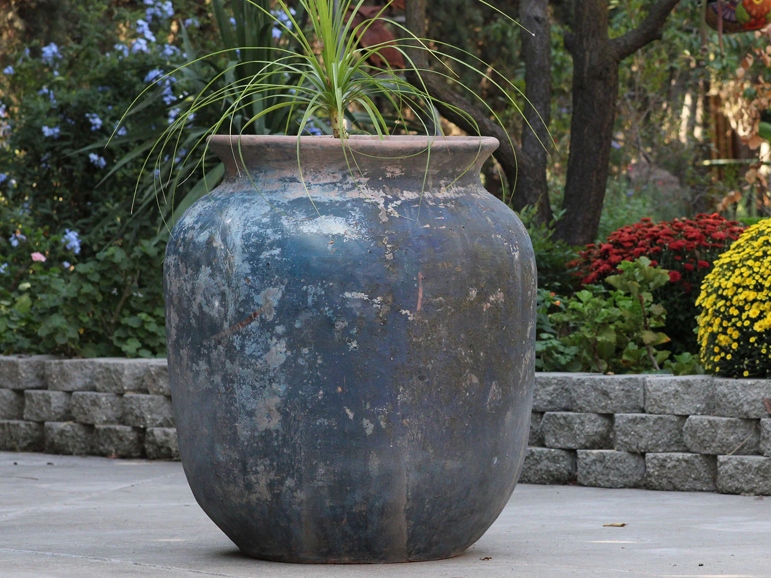 Mediterranean Cantaro By Plantatorem - Image 10