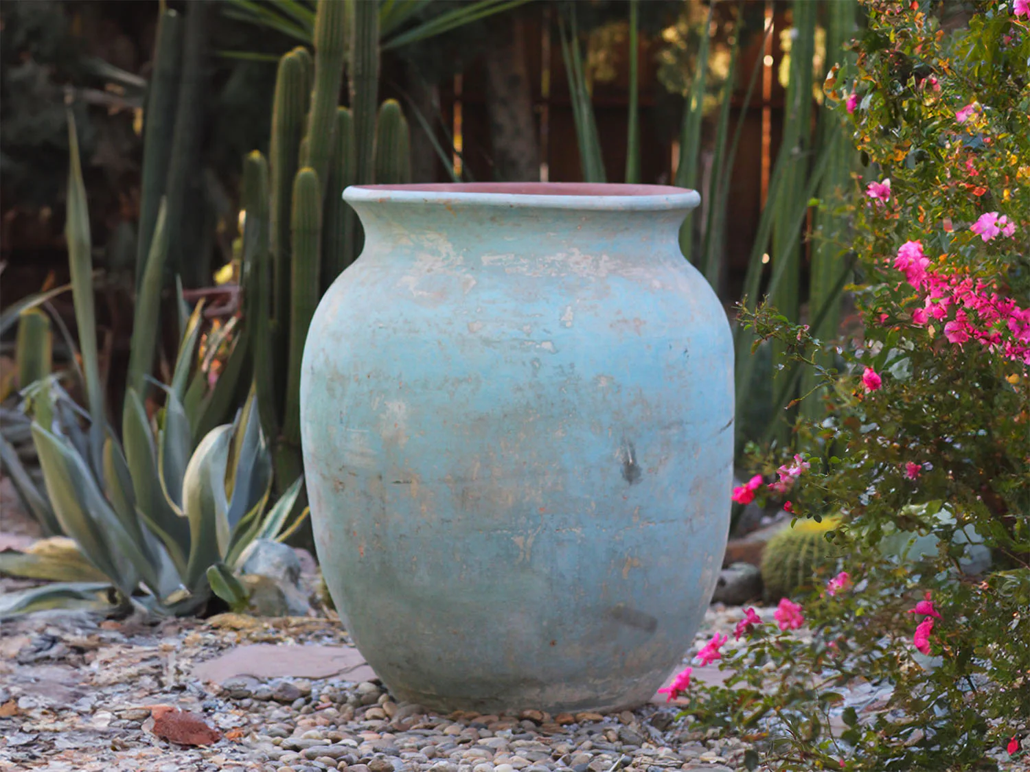 Mediterranean Cantaro By Plantatorem - Image 3