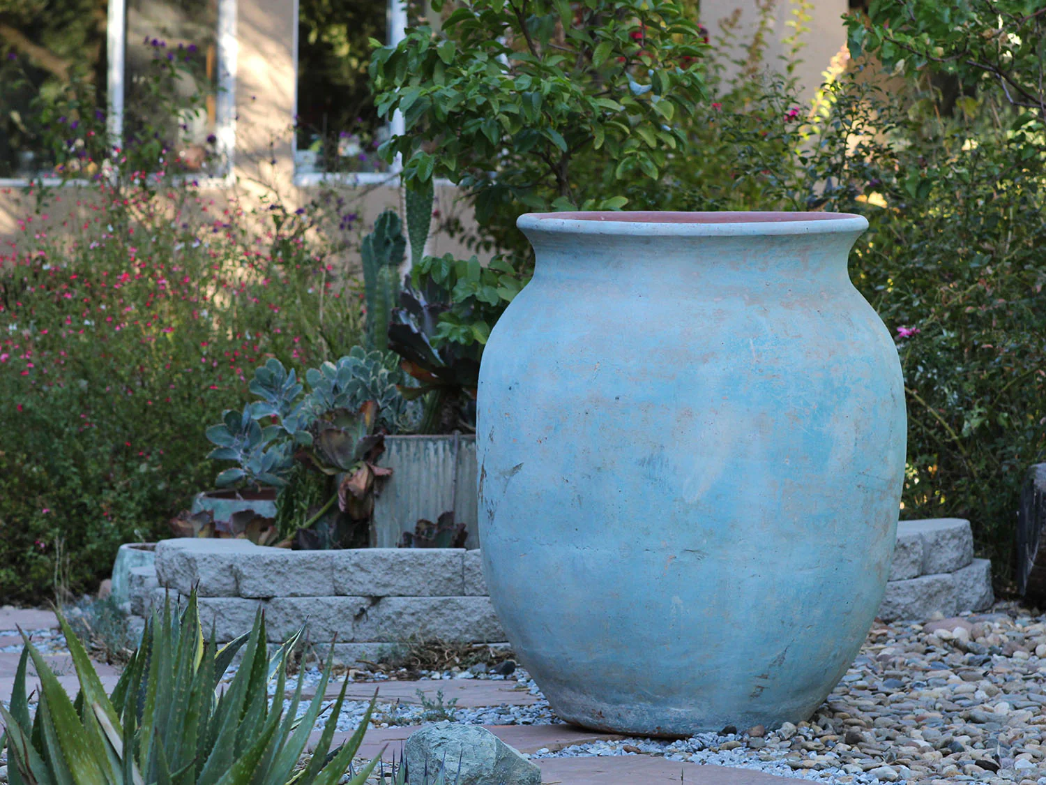 Mediterranean Cantaro By Plantatorem - Image 6