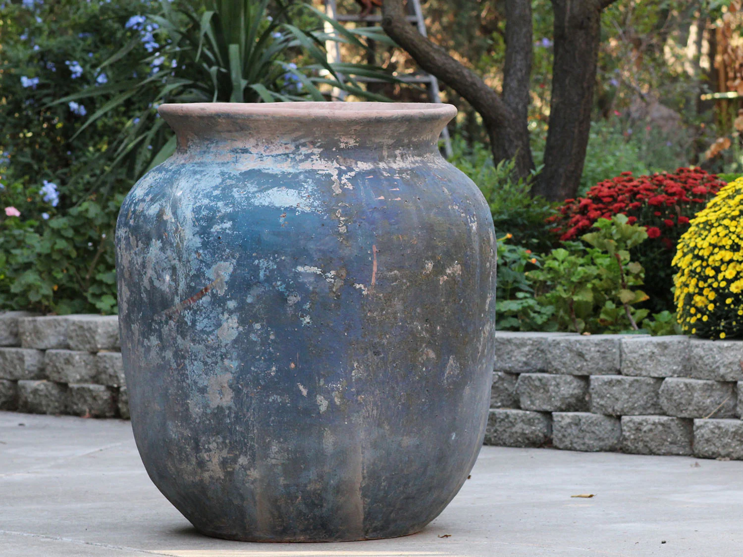 Mediterranean Cantaro By Plantatorem - Image 8