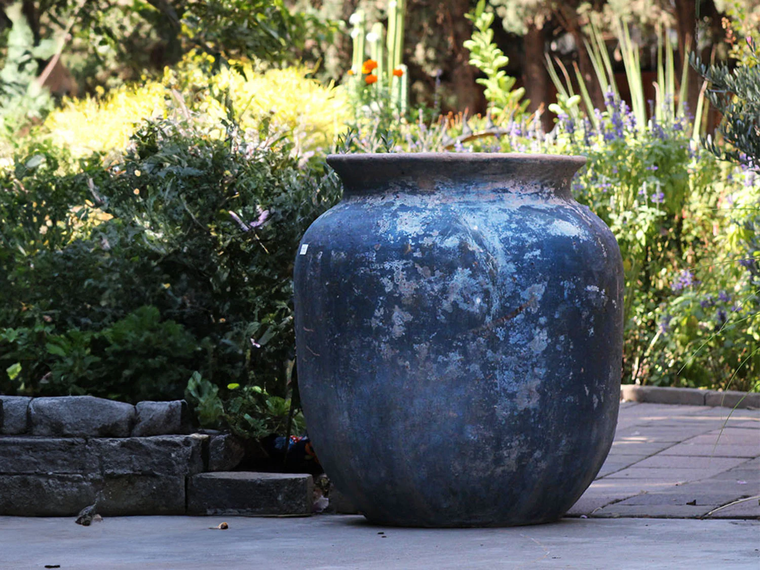 Mediterranean Cantaro By Plantatorem - Image 9