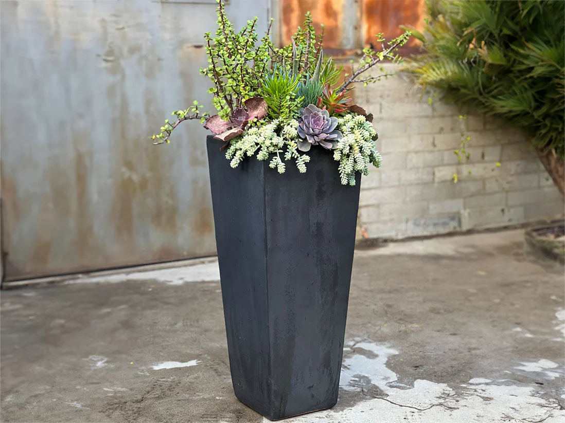 Medium Square Pot By Plantatorem - Image 3