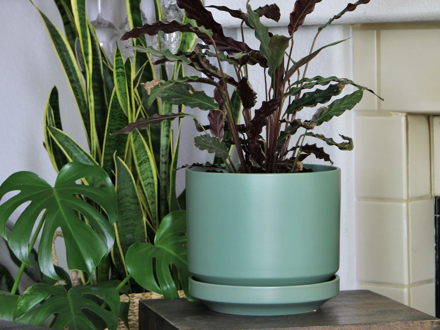 Melrose Modern Planter- 10.0" x 10.5" By Plantatorem - Image 13
