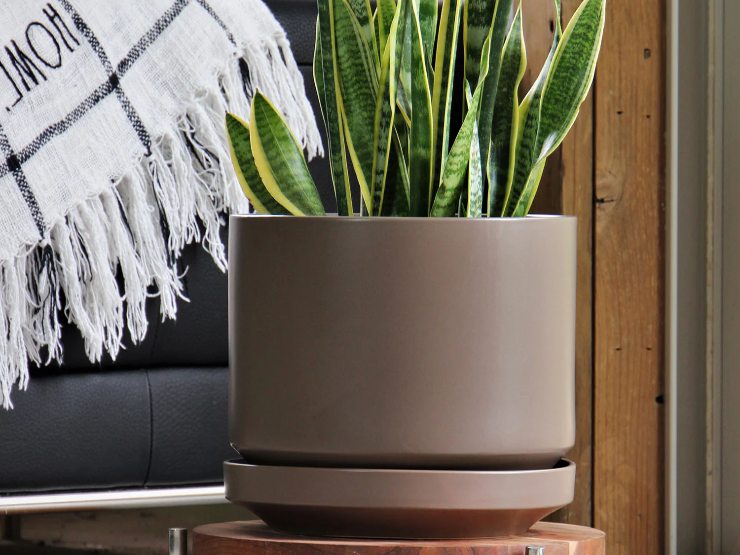 Melrose Modern Planter- 10.0" x 10.5" By Plantatorem - Image 16
