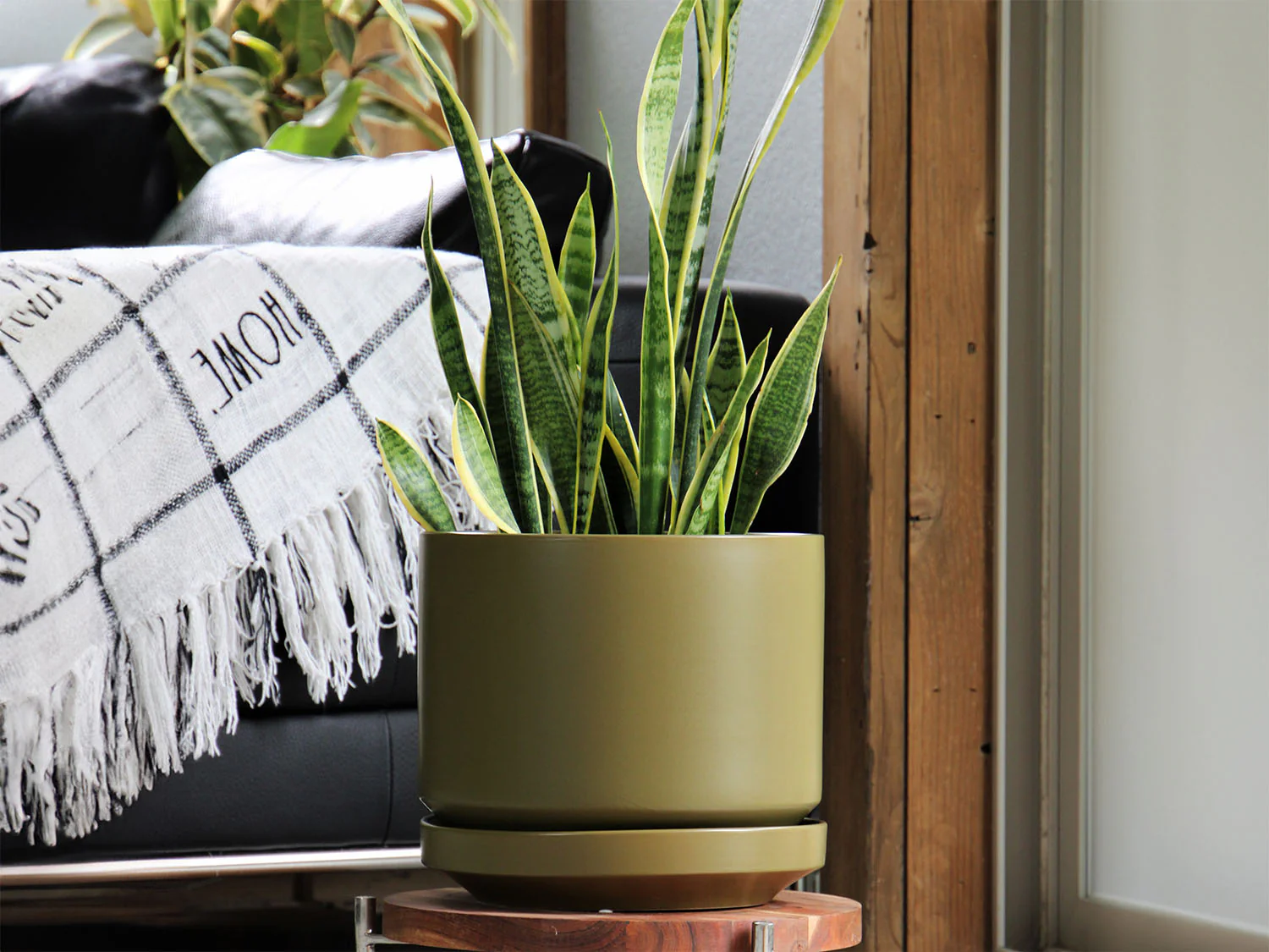 Melrose Modern Planter- 10.0" x 10.5" By Plantatorem - Image 23