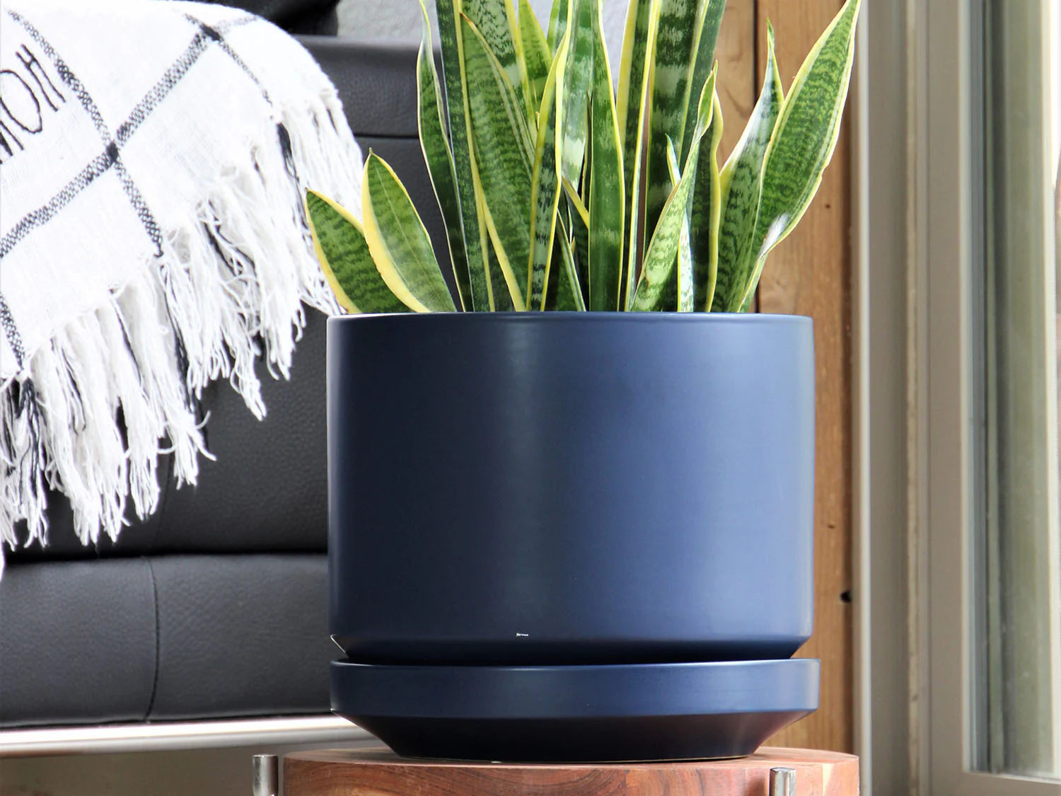 Melrose Modern Planter- 10.0" x 10.5" By Plantatorem - Image 9