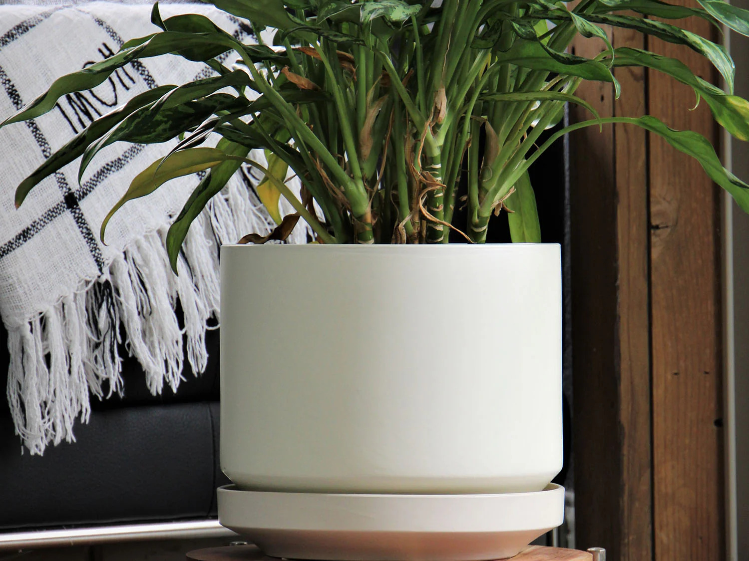 Melrose Modern Planter (LARGE) By Plantatorem - Image 20