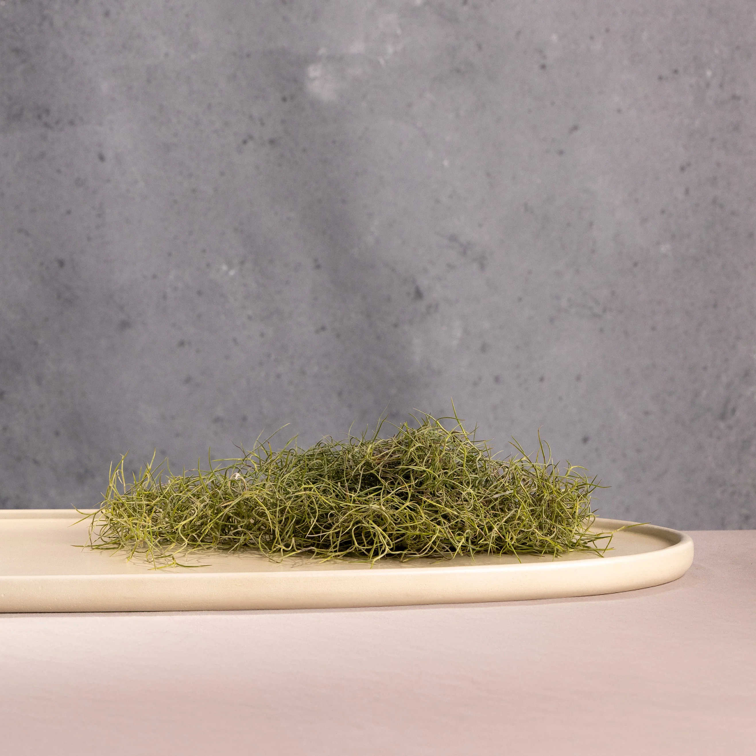 Mesa Oval Platter - Image 14