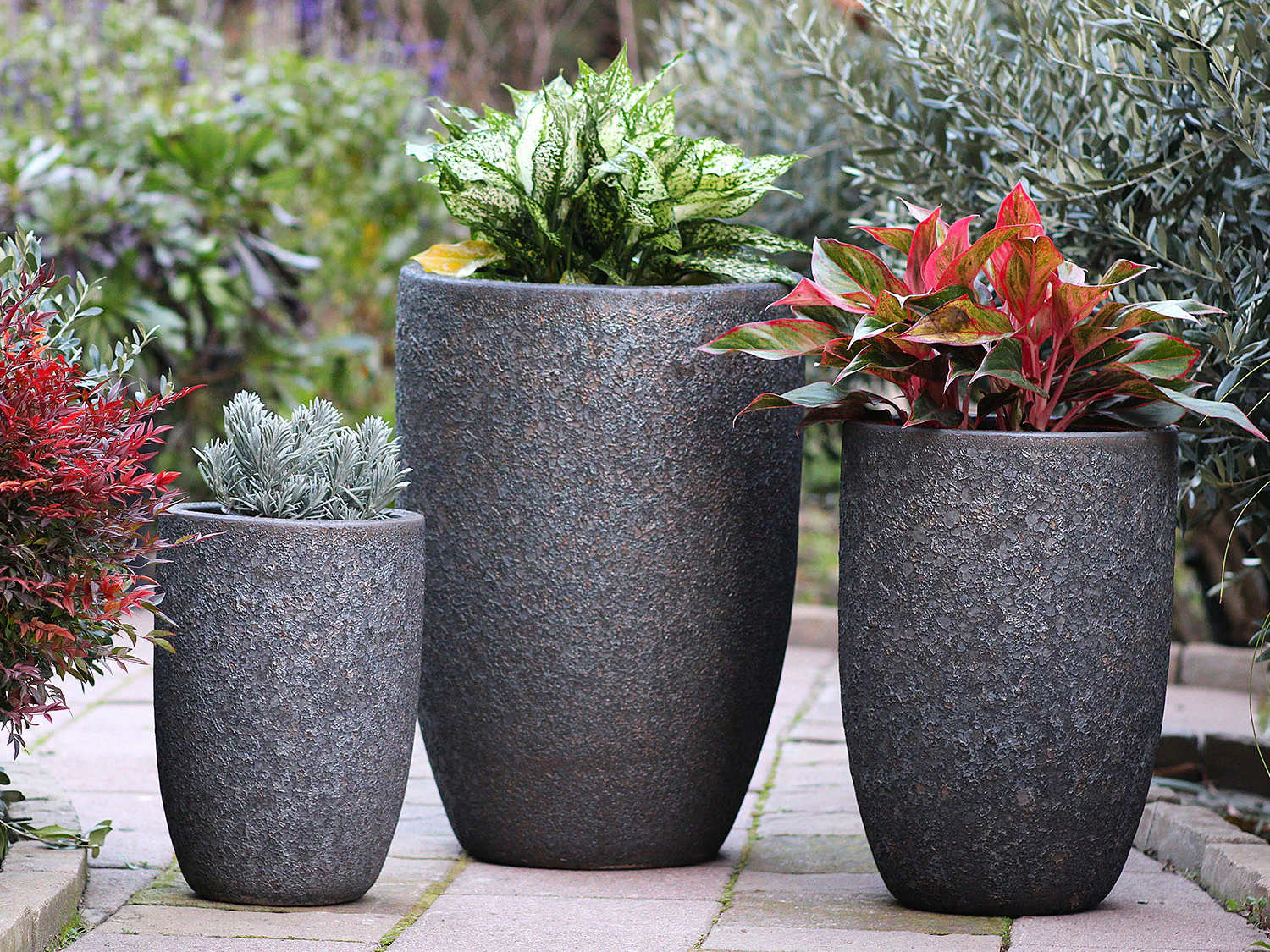Mid Height Barrel Planter - Set of 3 By Plantatorem - Image 32