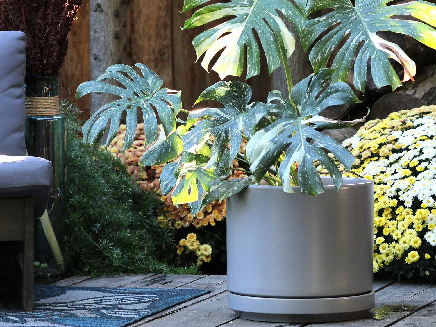 Mid Modern Planter With Detached Saucer "10.0" D x 9.0" H" By Plantatorem - Image 11