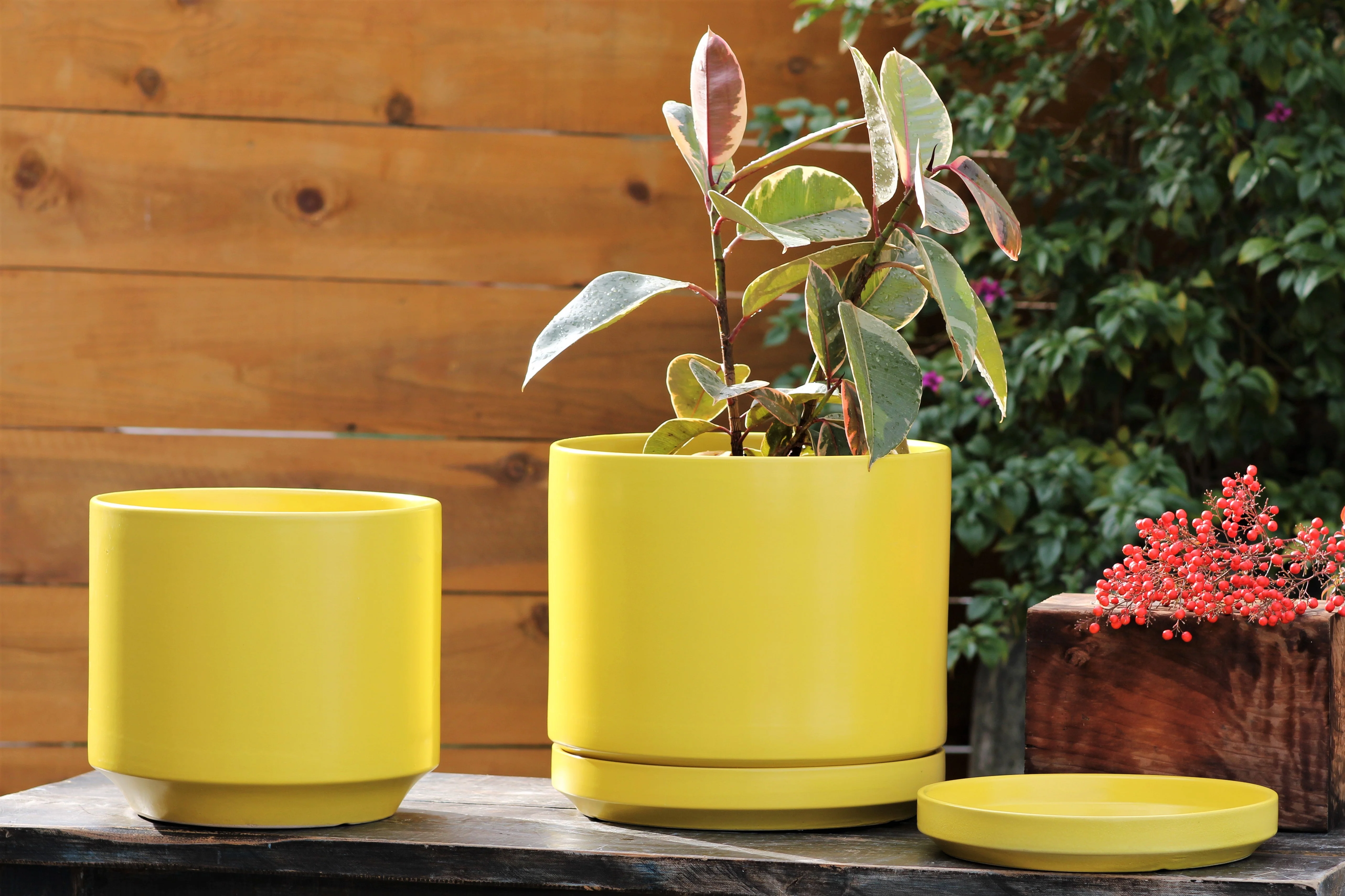 Mid Modern Planter With Detached Saucer "10.0" D x 9.0" H" By Plantatorem - Image 16