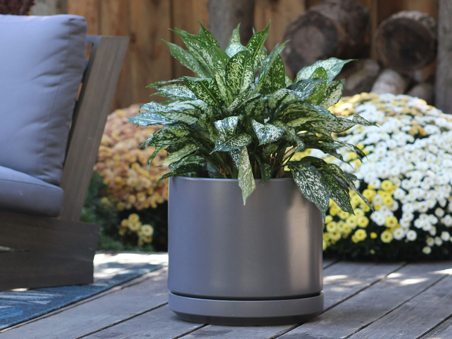 Mid Modern Planter With Detached Saucer "10.0" D x 9.0" H" By Plantatorem - Image 22