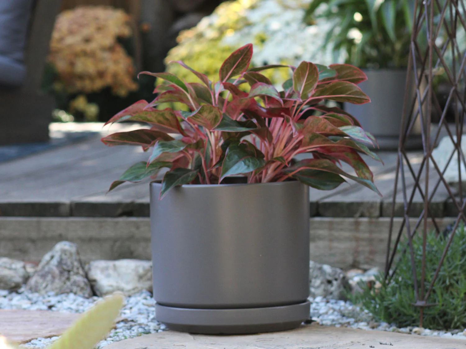 Mid Modern Planter With Detached Saucer "10.0" D x 9.0" H" By Plantatorem - Image 24