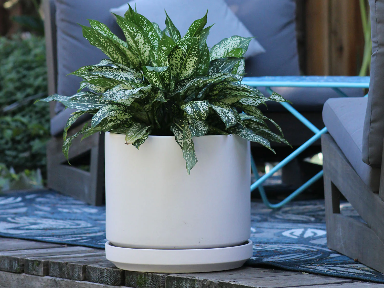 Mid Modern Planter With Detached Saucer "10.0" D x 9.0" H" By Plantatorem - Image 26