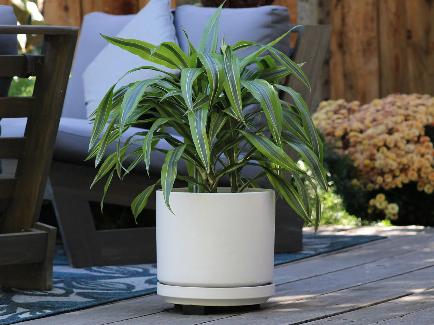 Mid Modern Planter With Detached Saucer "10.0" D x 9.0" H" By Plantatorem - Image 27