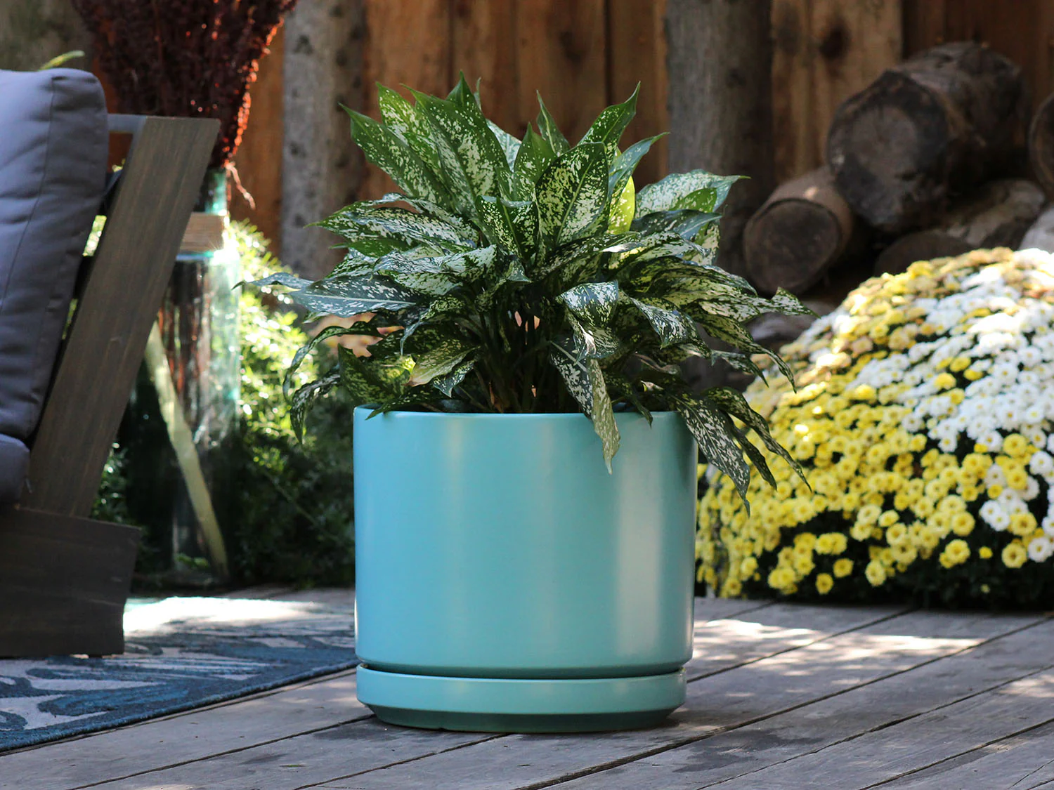 Mid Modern Planter With Detached Saucer "10.0" D x 9.0" H" By Plantatorem - Image 3
