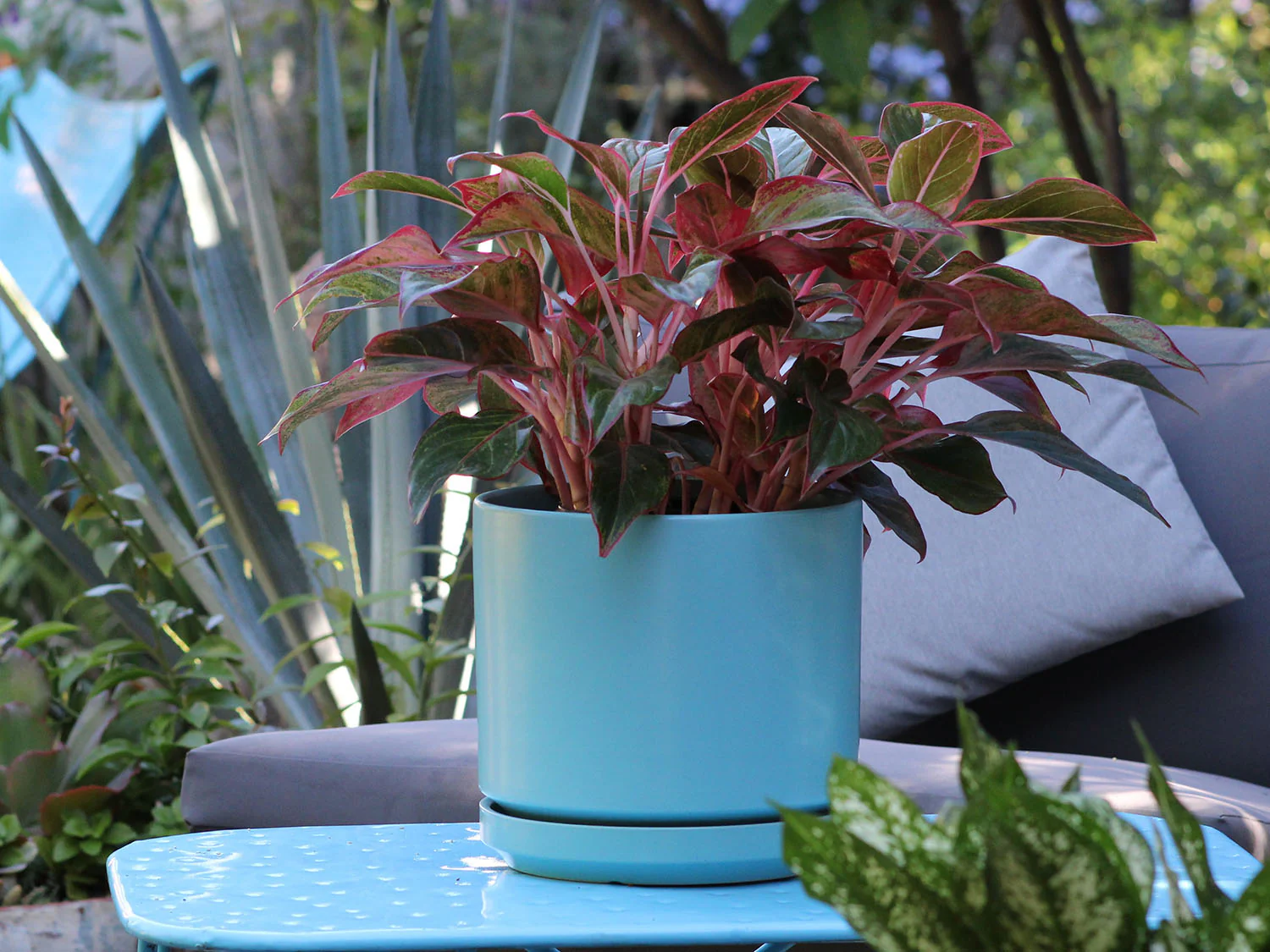 Mid Modern Planter With Detached Saucer "10.0" D x 9.0" H" By Plantatorem - Image 4