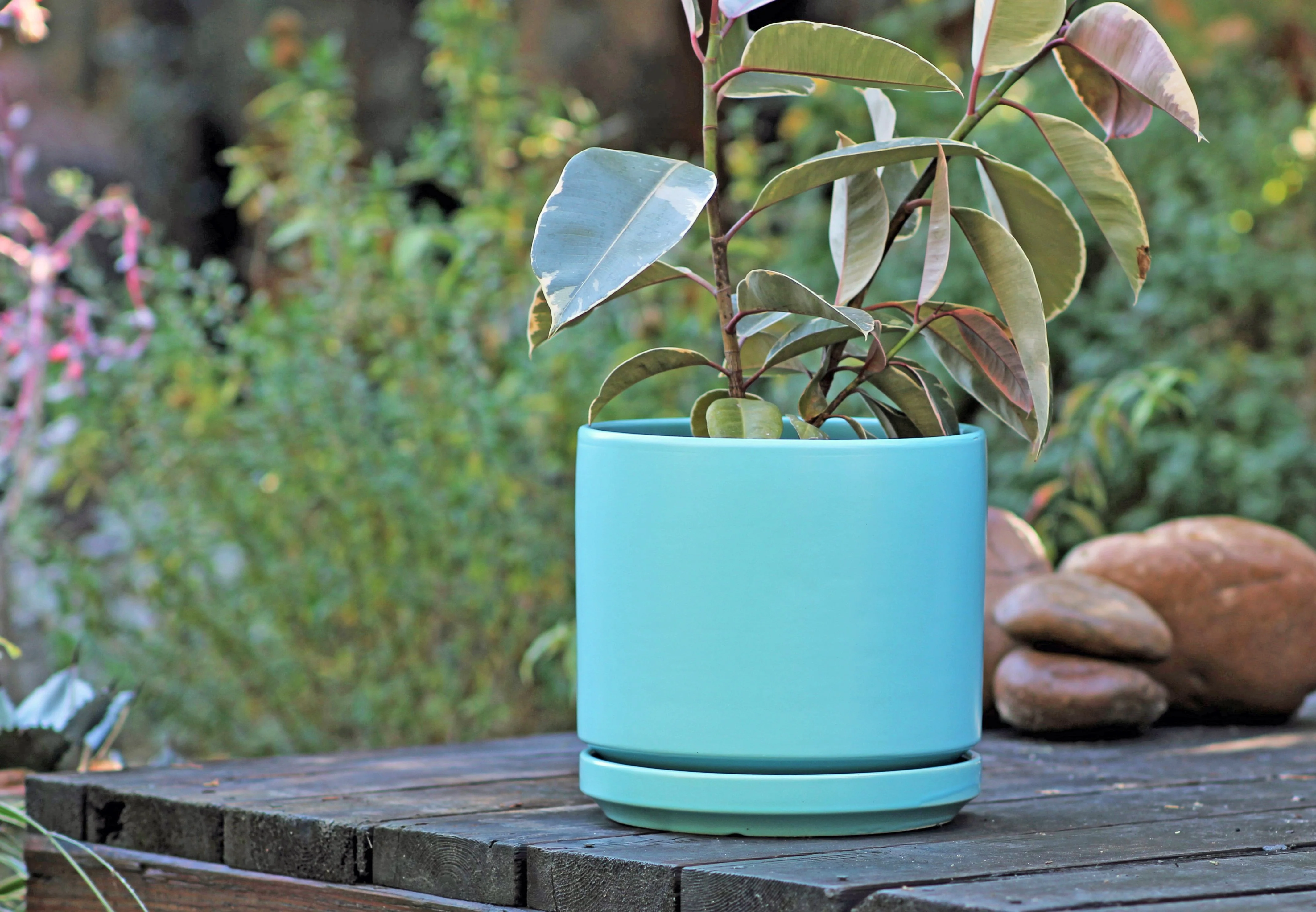 Mid Modern Planter With Detached Saucer "10.0" D x 9.0" H" By Plantatorem - Image 6