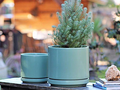 Mid Modern Planter With Detached Saucer "10.0" D x 9.0" H" By Plantatorem - Image 8