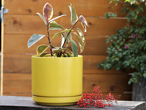 Mid Modern Planter With Detached Saucer "14.0" D x 12.0" H" By Plantatorem - Image 25