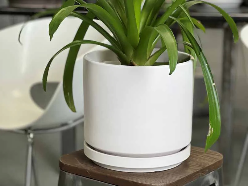 Mid Modern Planter With Detached Saucer "14.0" D x 12.0" H" By Plantatorem - Image 7