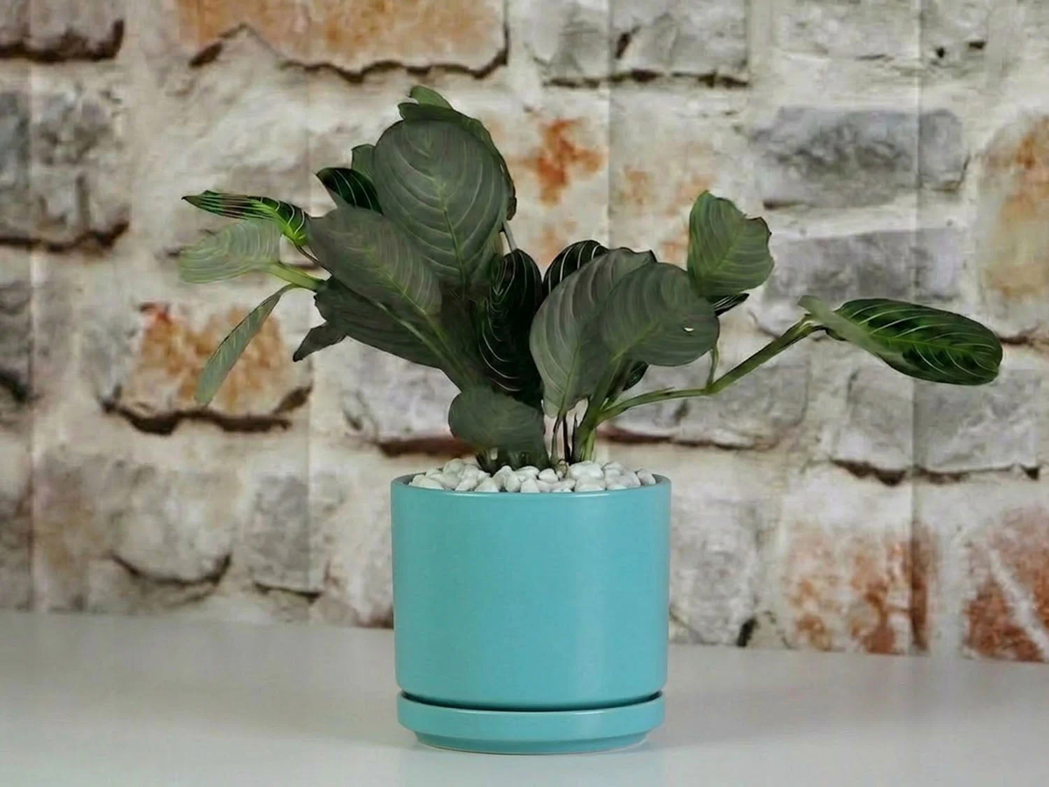 Mid Modern Planter With Detached Saucer "14.0" D x 12.0" H" By Plantatorem - Image 8