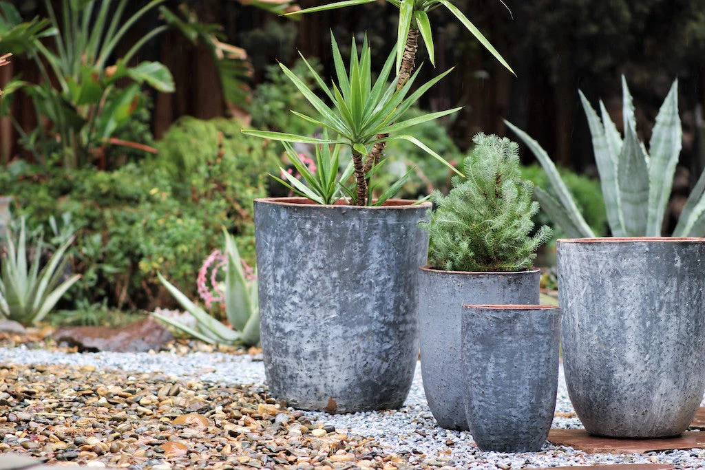 Milano Tall Barrel Planter - Set of 4 By Plantatorem - Image 10