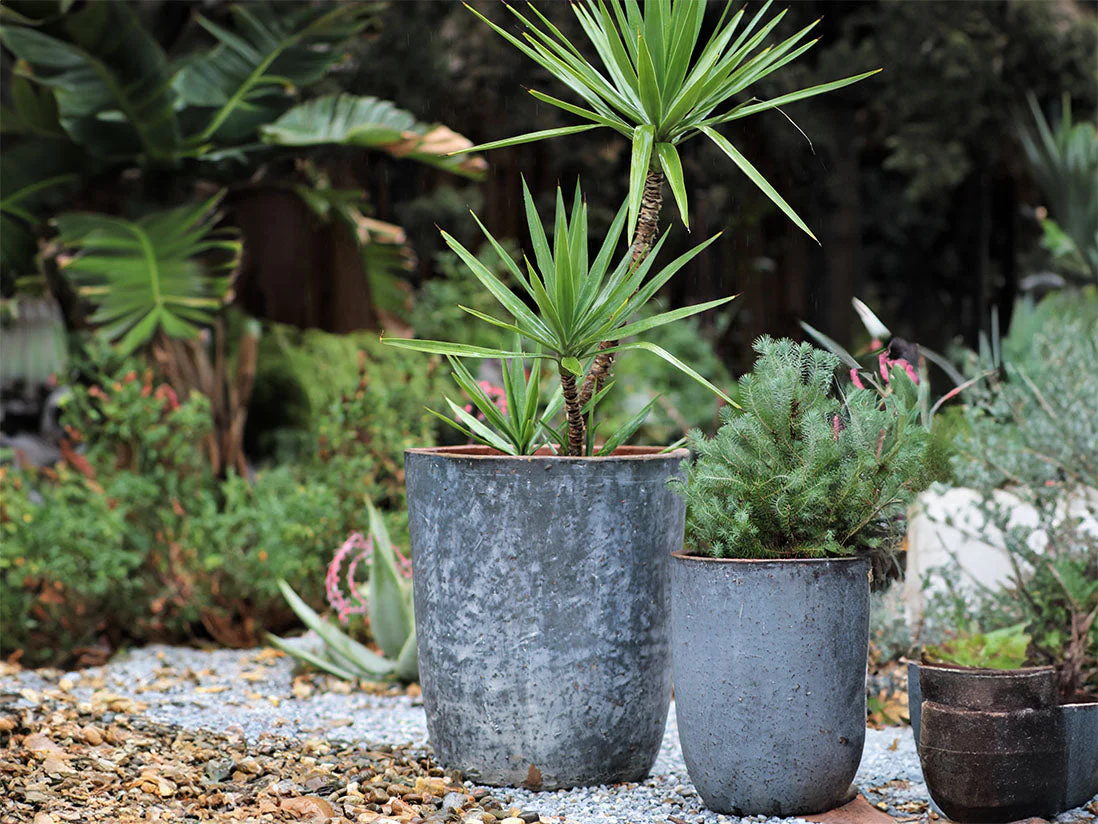 Milano Tall Barrel Planter - Set of 4 By Plantatorem - Image 11