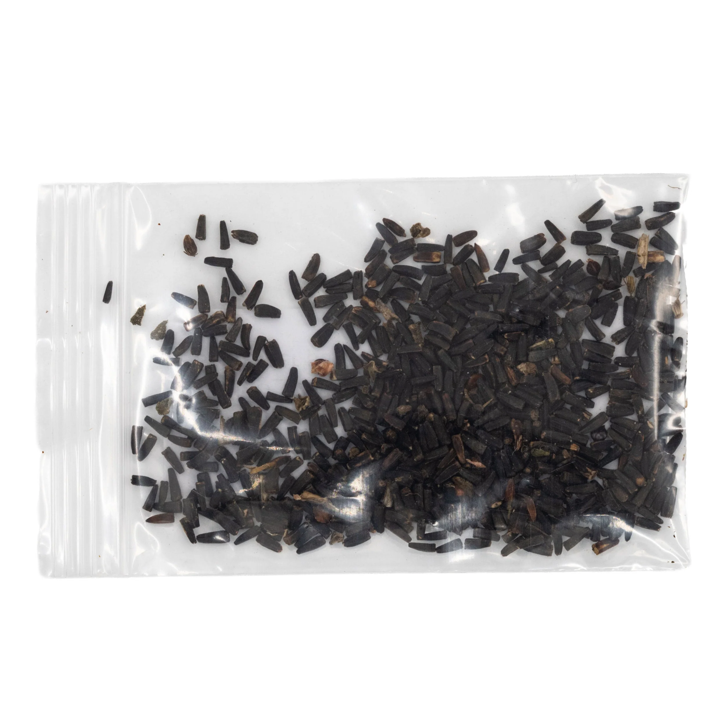 Mini Seed Mix | Bird Lovers | Tall & Short Options | Native Nebraska Seeds | Prairie Legacy Inc - Image 11