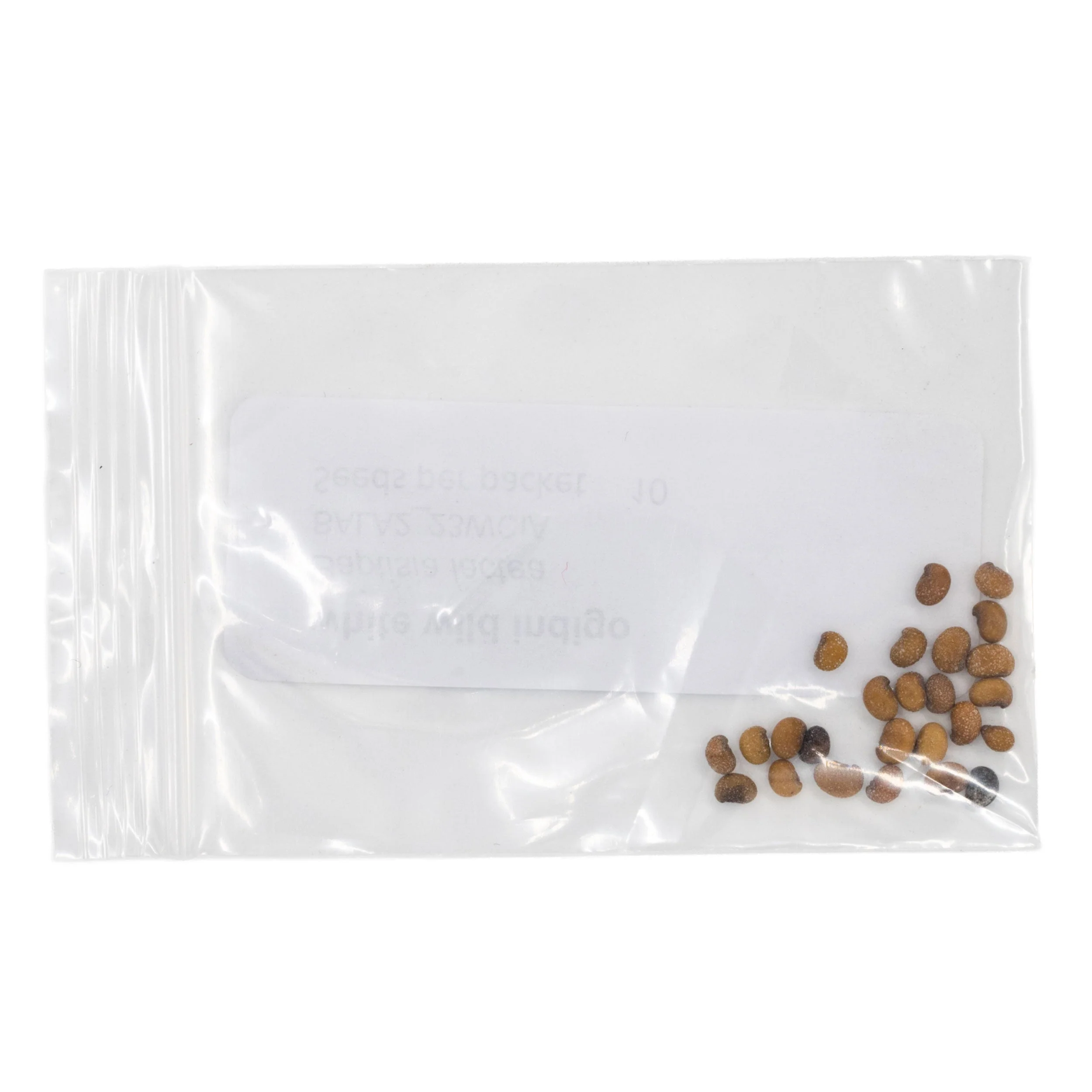 Mini Seed Mix | Bird Lovers | Tall & Short Options | Native Nebraska Seeds | Prairie Legacy Inc - Image 13