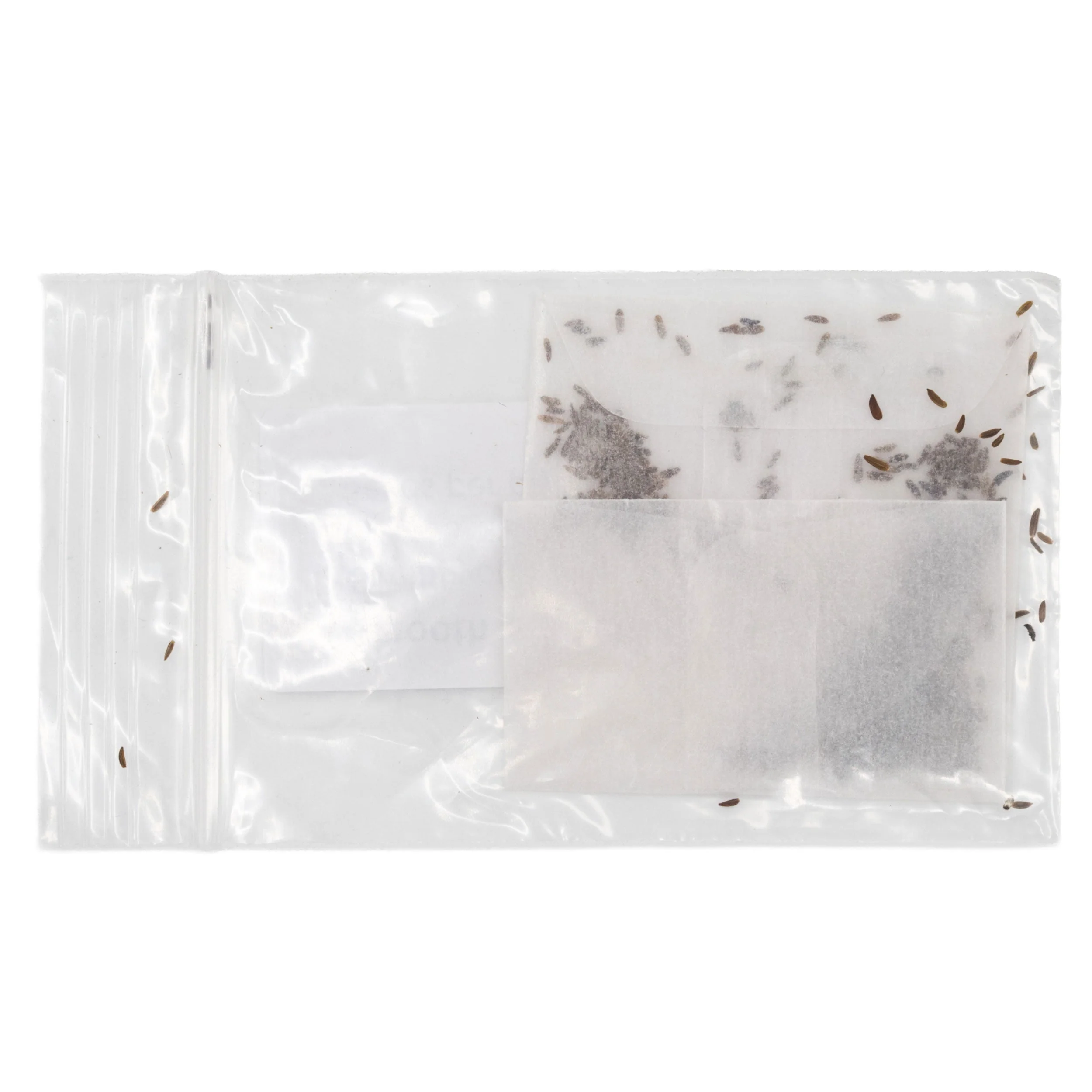 Mini Seed Mix | Bird Lovers | Tall & Short Options | Native Nebraska Seeds | Prairie Legacy Inc - Image 5