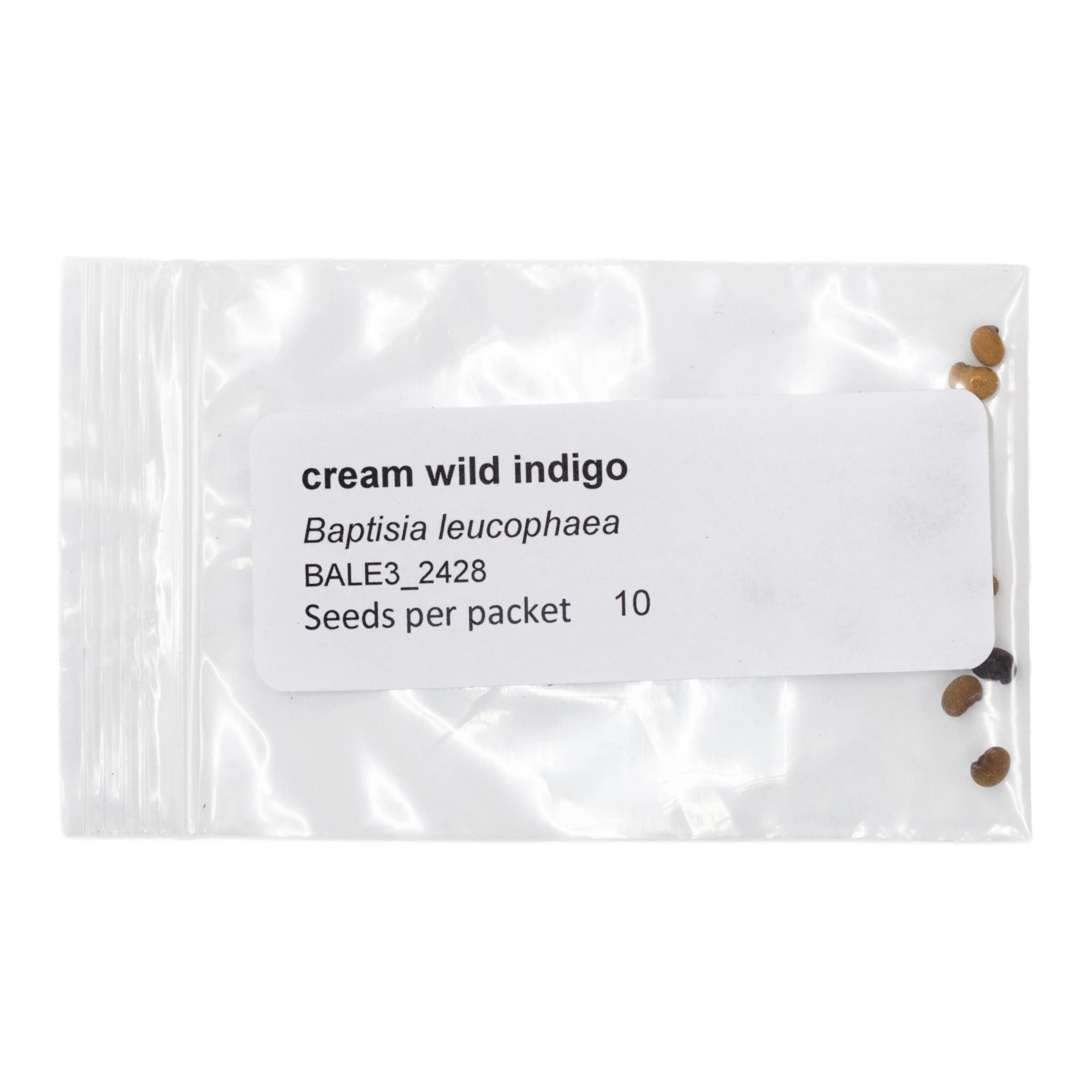 Mini Seed Mix | Deer and Rabbit Resistant | Tall & Short Options | Native | Prairie Legacy Inc - Image 12