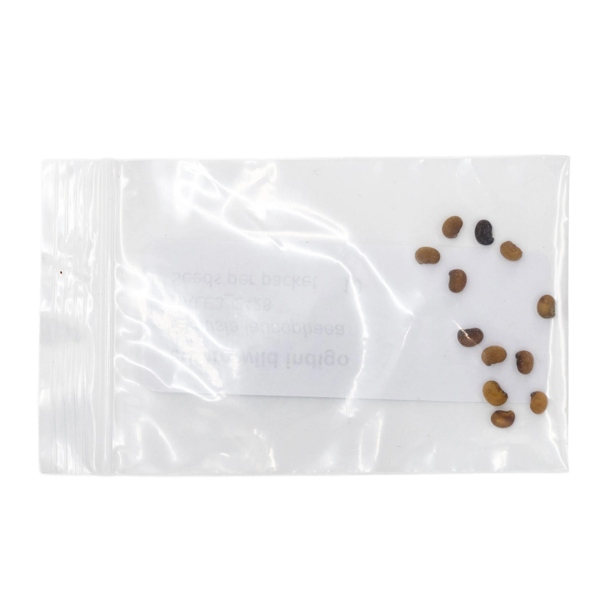 Mini Seed Mix | Deer and Rabbit Resistant | Tall & Short Options | Native | Prairie Legacy Inc - Image 5