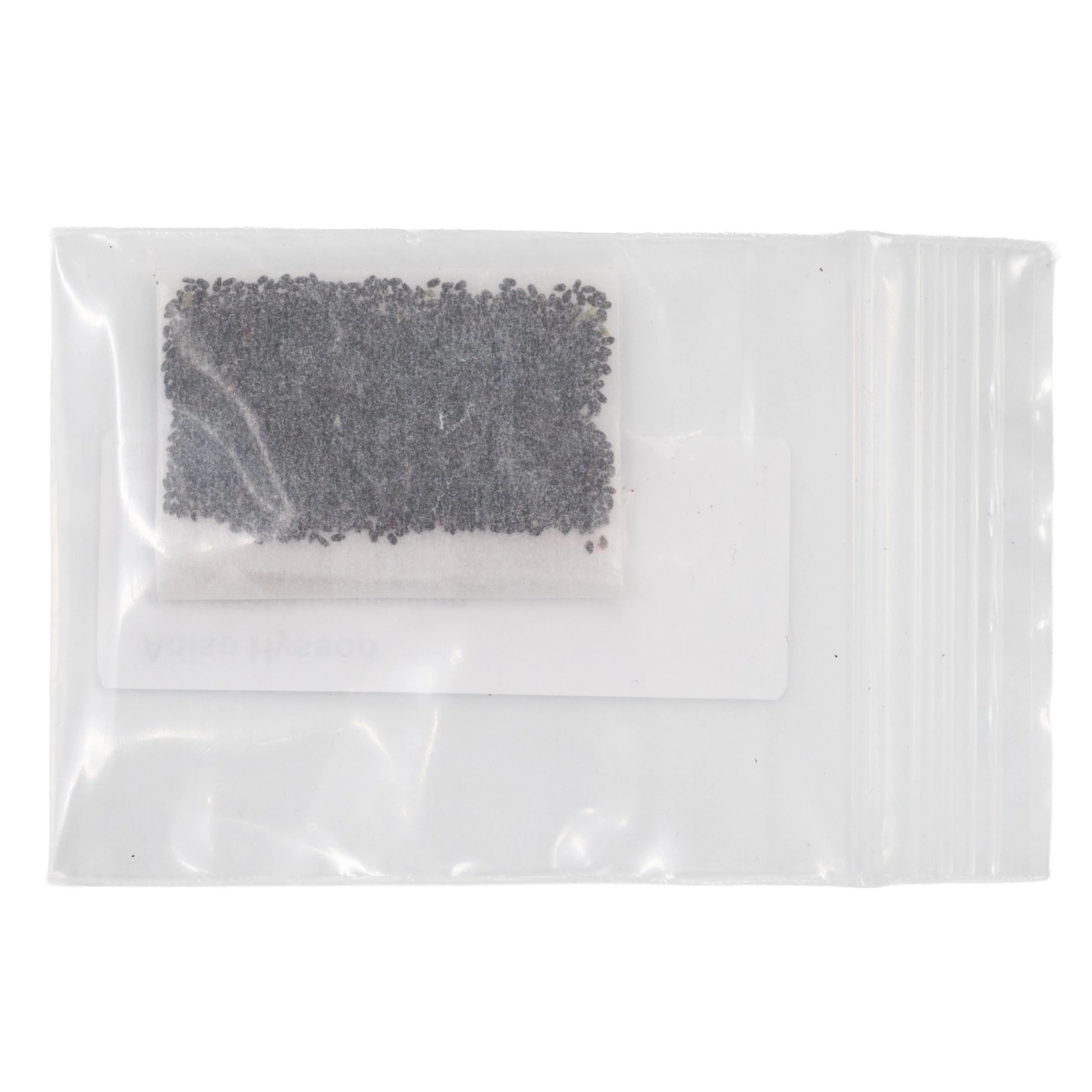 Mini Seed Mix | Hummingbird | Tall & Short Options | Local Ecotype | Prairie Legacy Inc - Image 5