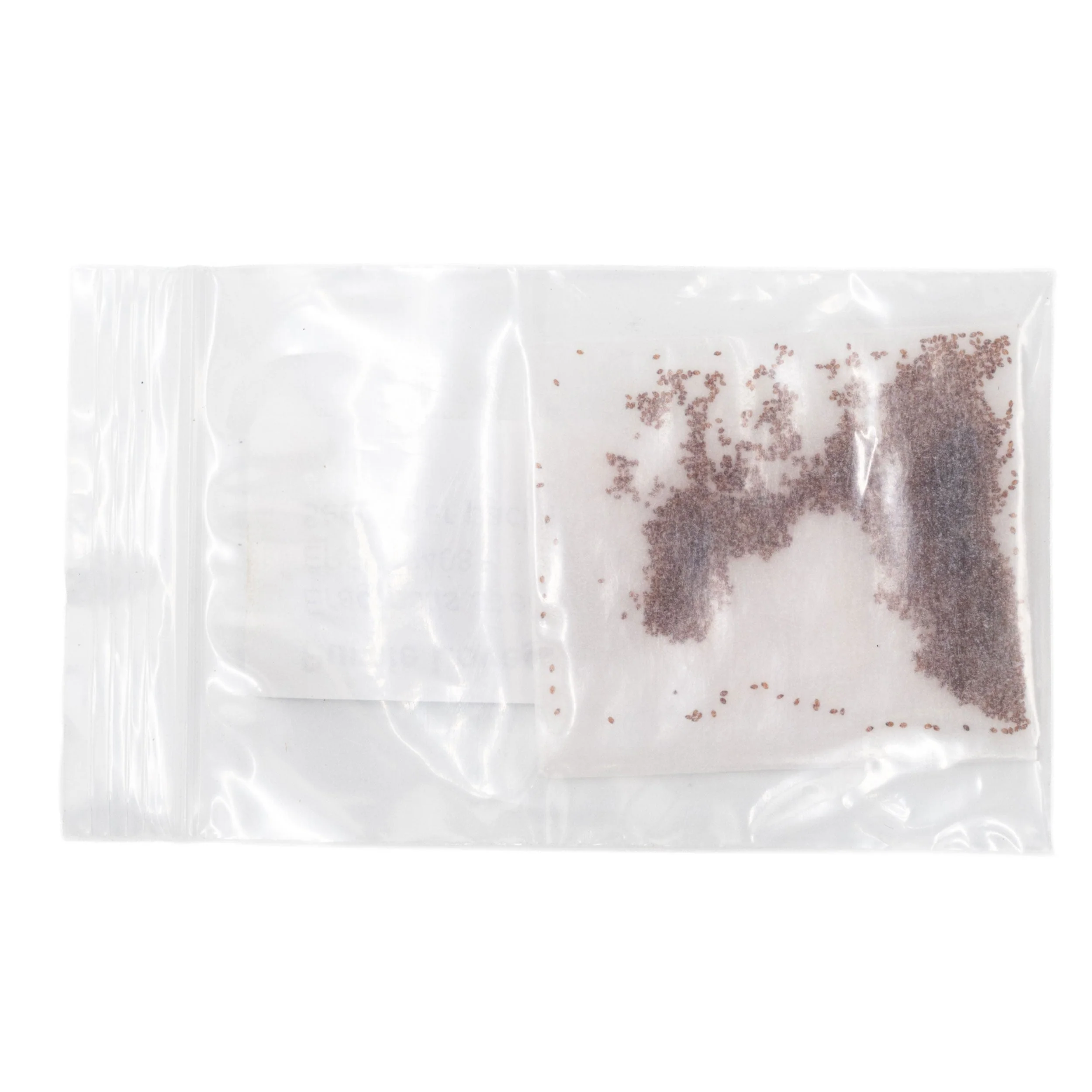Mini Seed Mix | Pollinator Patch | Tall & Short Options | Native | Prairie Legacy Inc - Image 13