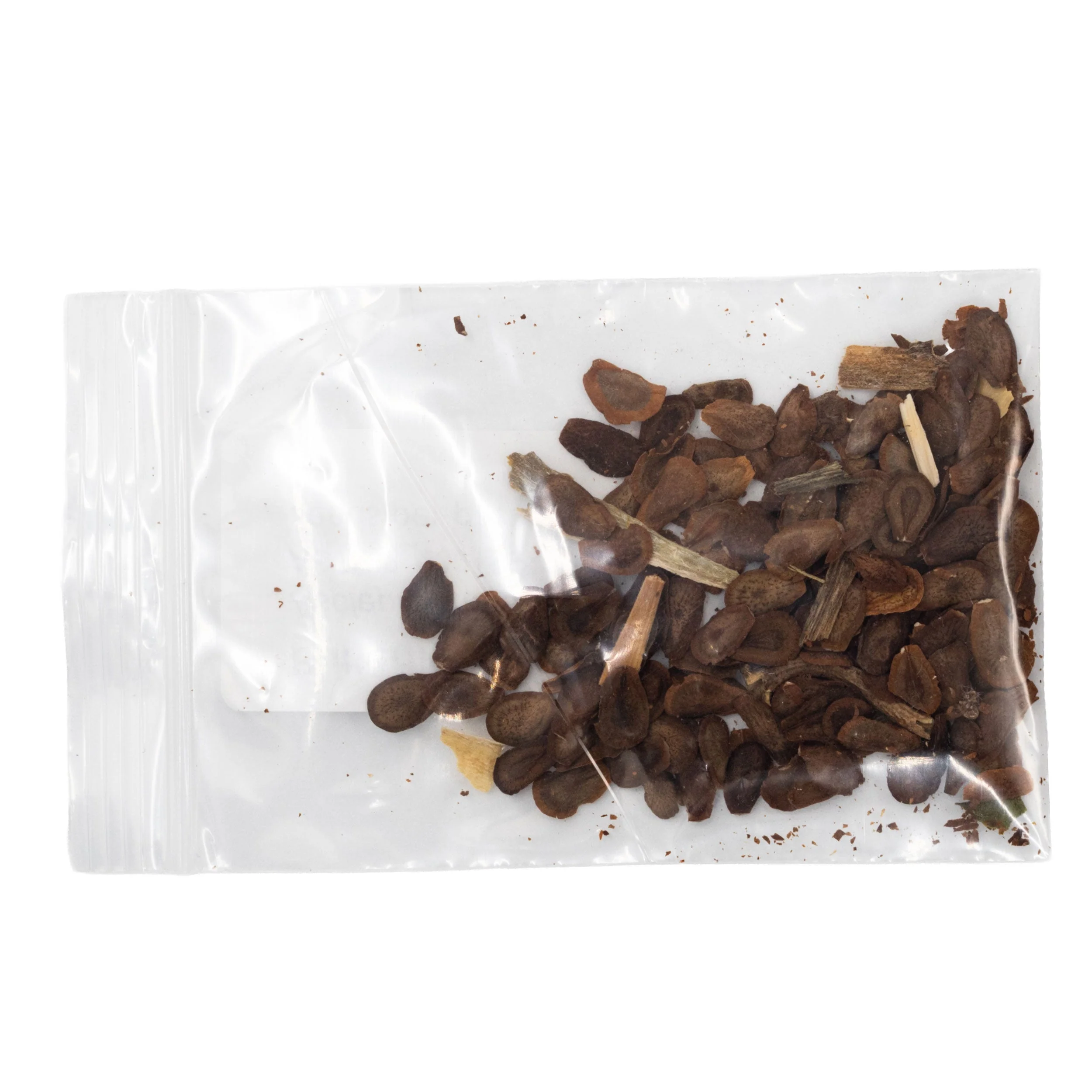 Mini Seed Mix | Pollinator Patch | Tall & Short Options | Native | Prairie Legacy Inc - Image 3