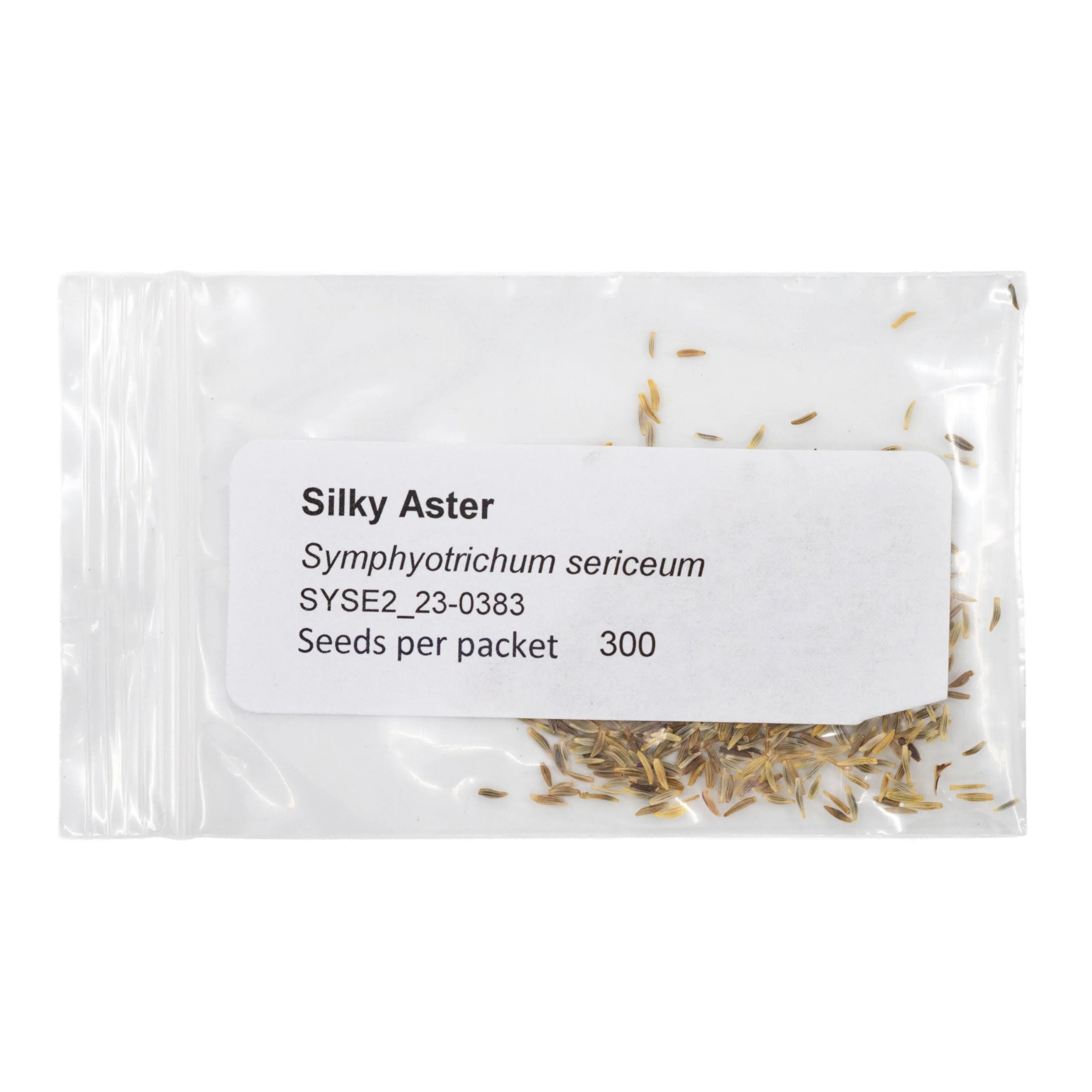 Mini Seed Mix | Pollinator Patch | Tall & Short Options | Native | Prairie Legacy Inc - Image 4