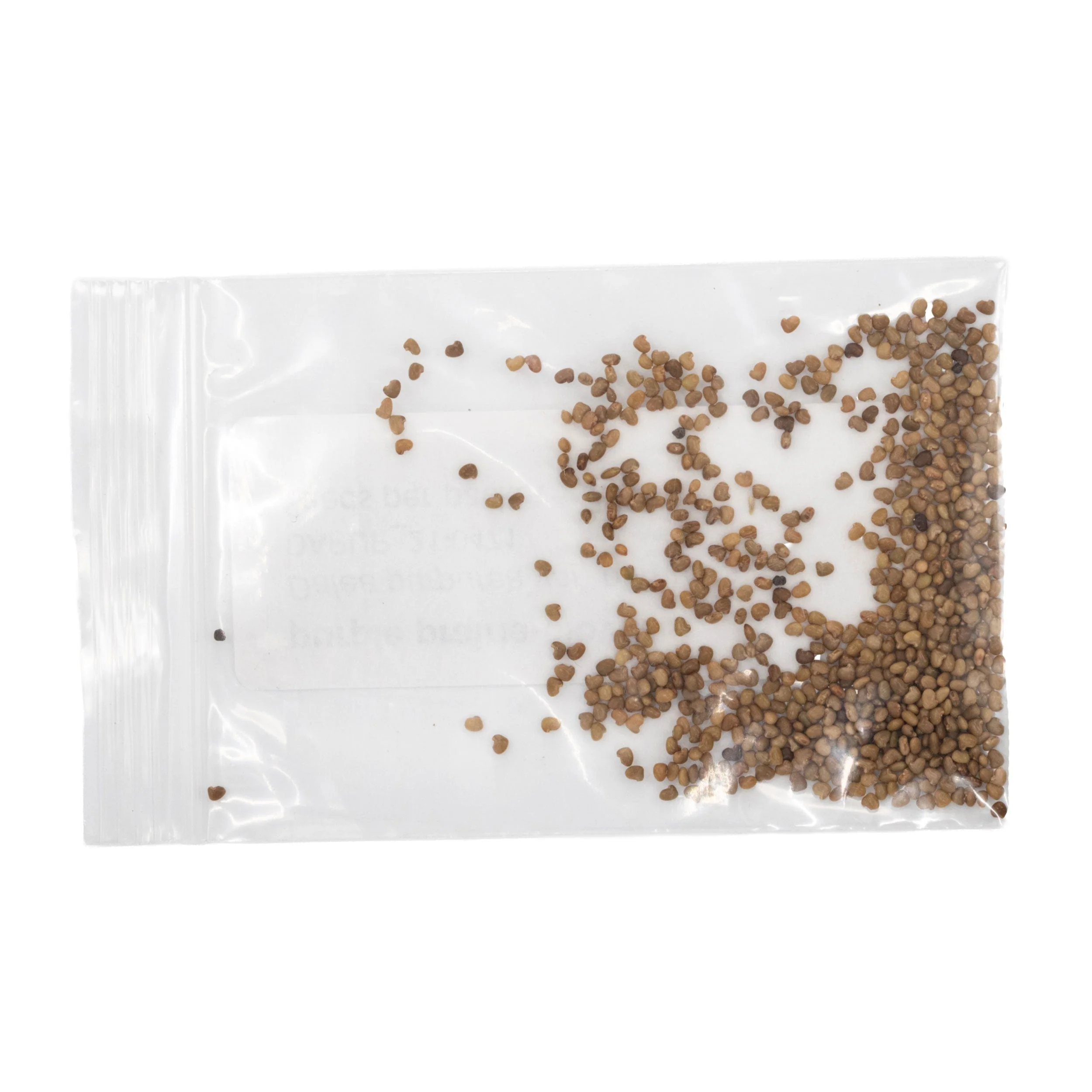 Mini Seed Mix | Pollinator Patch | Tall & Short Options | Native | Prairie Legacy Inc - Image 7