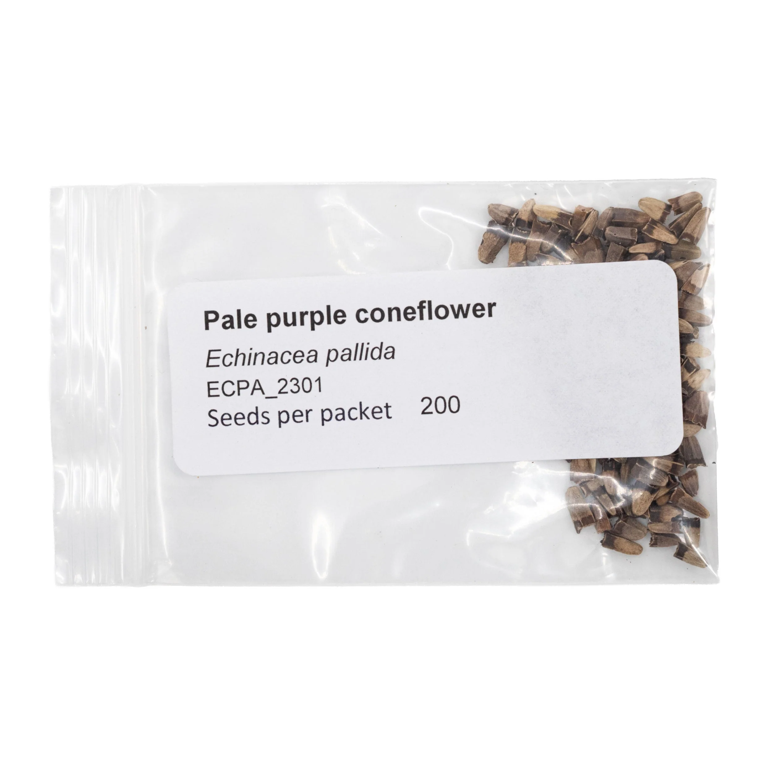 Mini Seed Mix | Pollinator Patch | Tall & Short Options | Native | Prairie Legacy Inc - Image 8