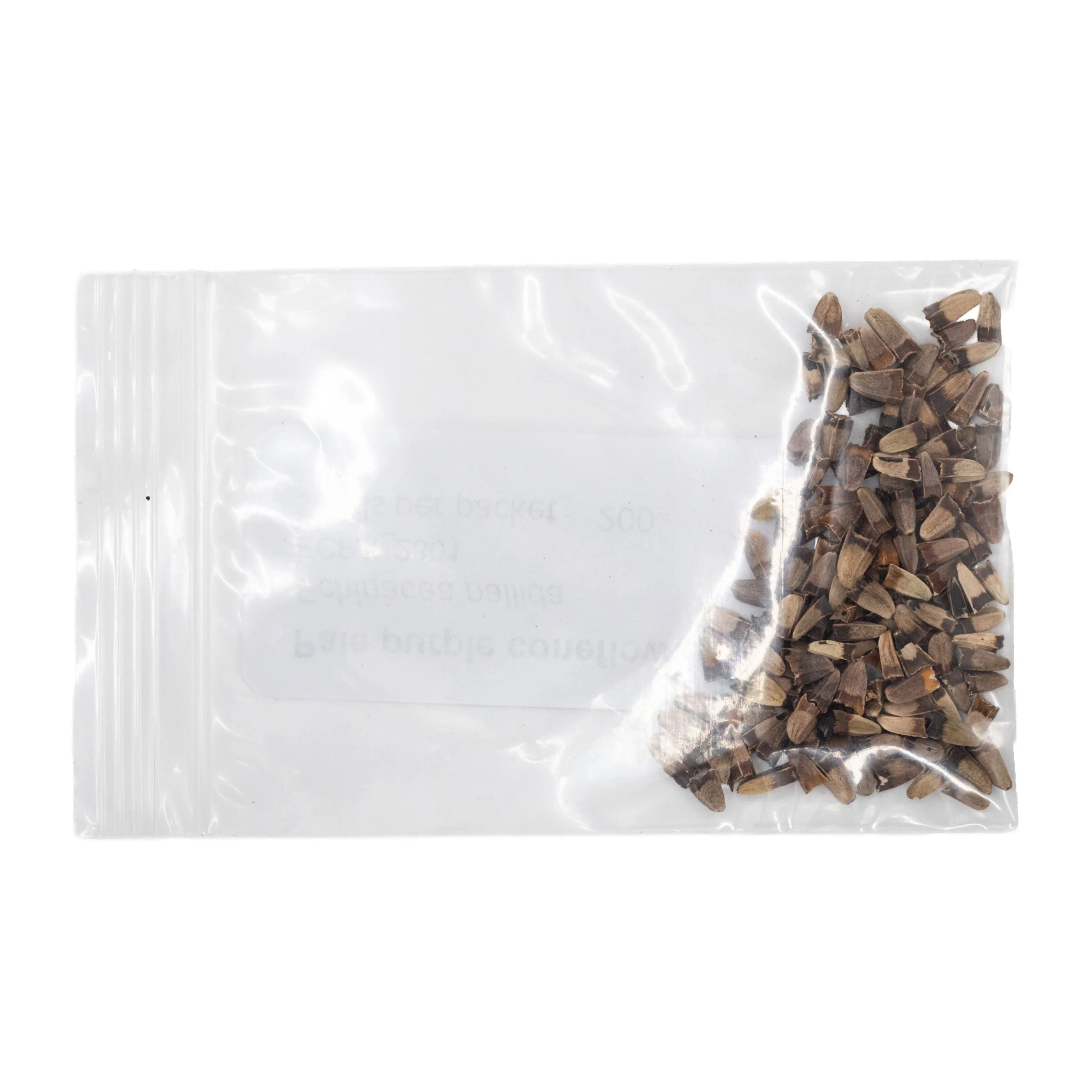Mini Seed Mix | Pollinator Patch | Tall & Short Options | Native | Prairie Legacy Inc - Image 9