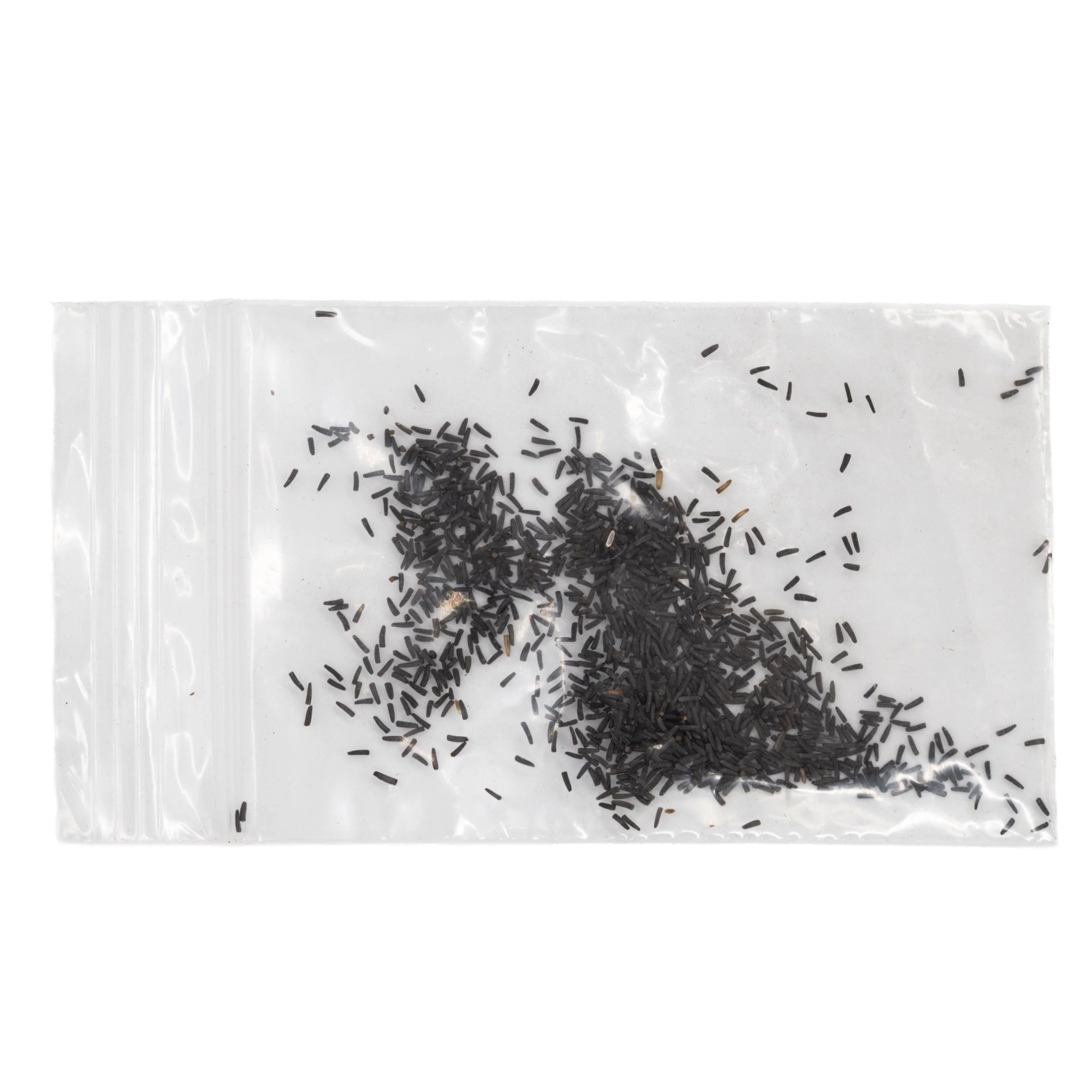 Mini Seed Mix | Salt & Clay | Tall & Short Options | Local Ecotype | Prairie Legacy Inc - Image 11