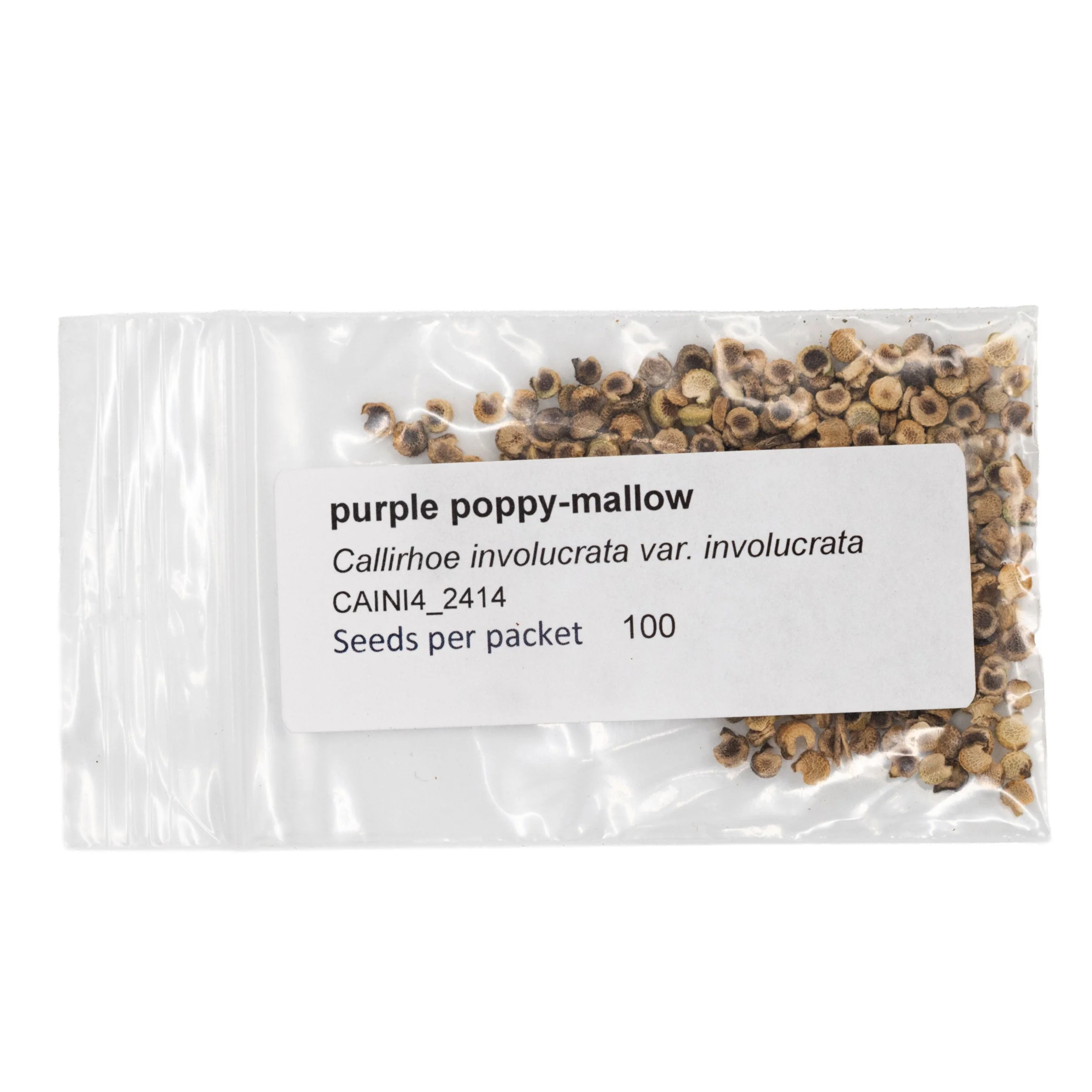 Mini Seed Mix | Salt & Clay | Tall & Short Options | Local Ecotype | Prairie Legacy Inc - Image 6