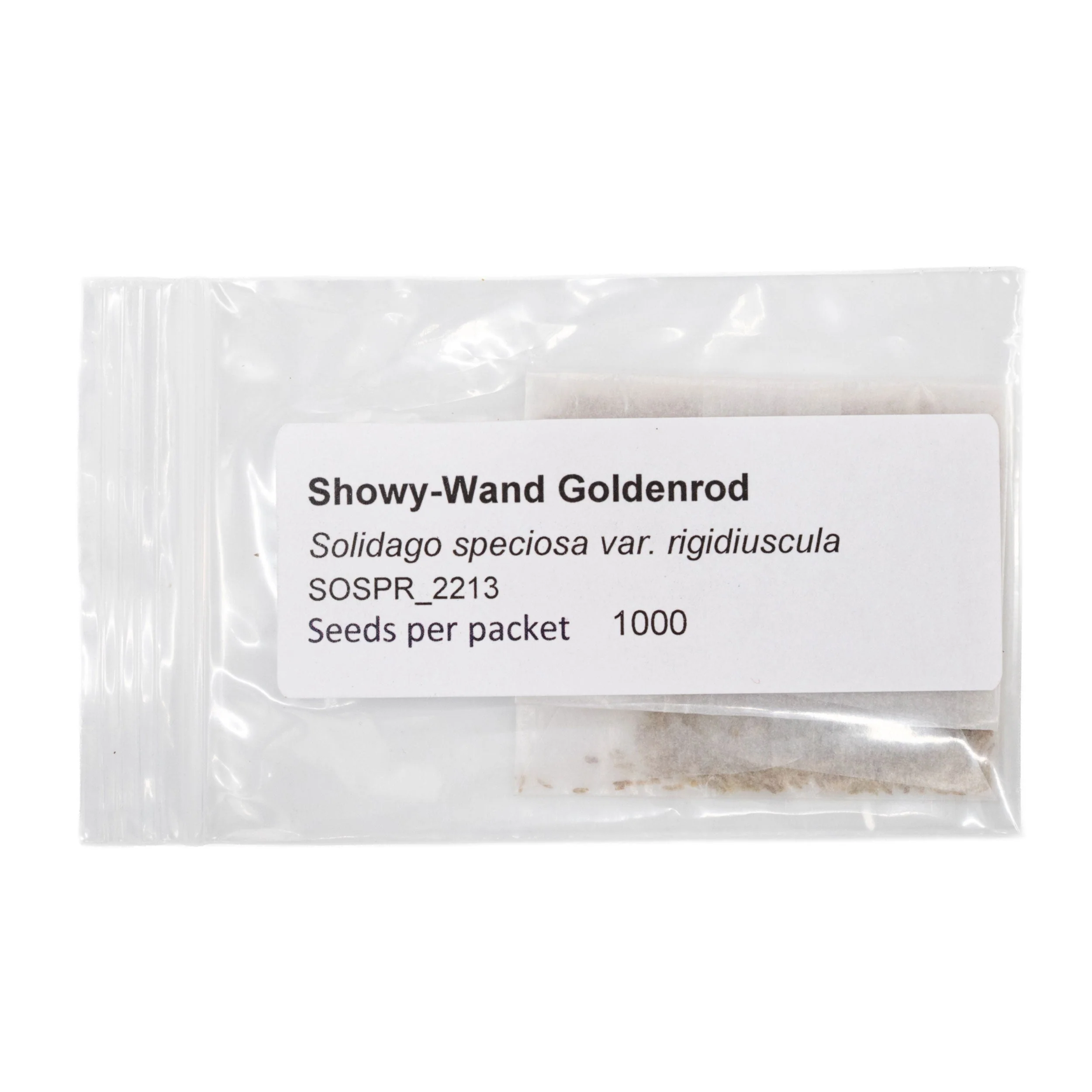 Mini Seed Mix | Salt & Clay | Tall & Short Options | Local Ecotype | Prairie Legacy Inc - Image 8