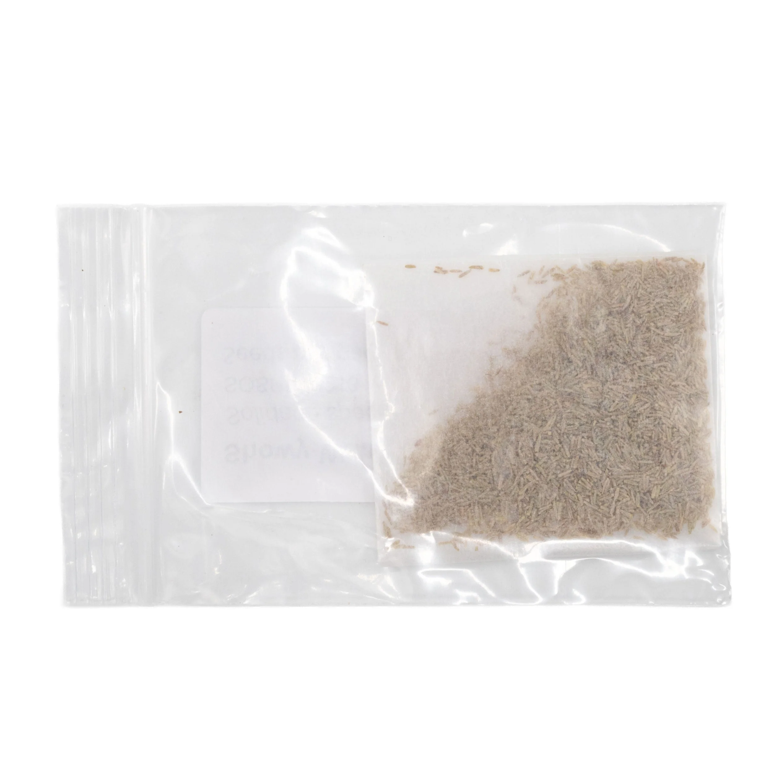 Mini Seed Mix | Salt & Clay | Tall & Short Options | Local Ecotype | Prairie Legacy Inc - Image 9