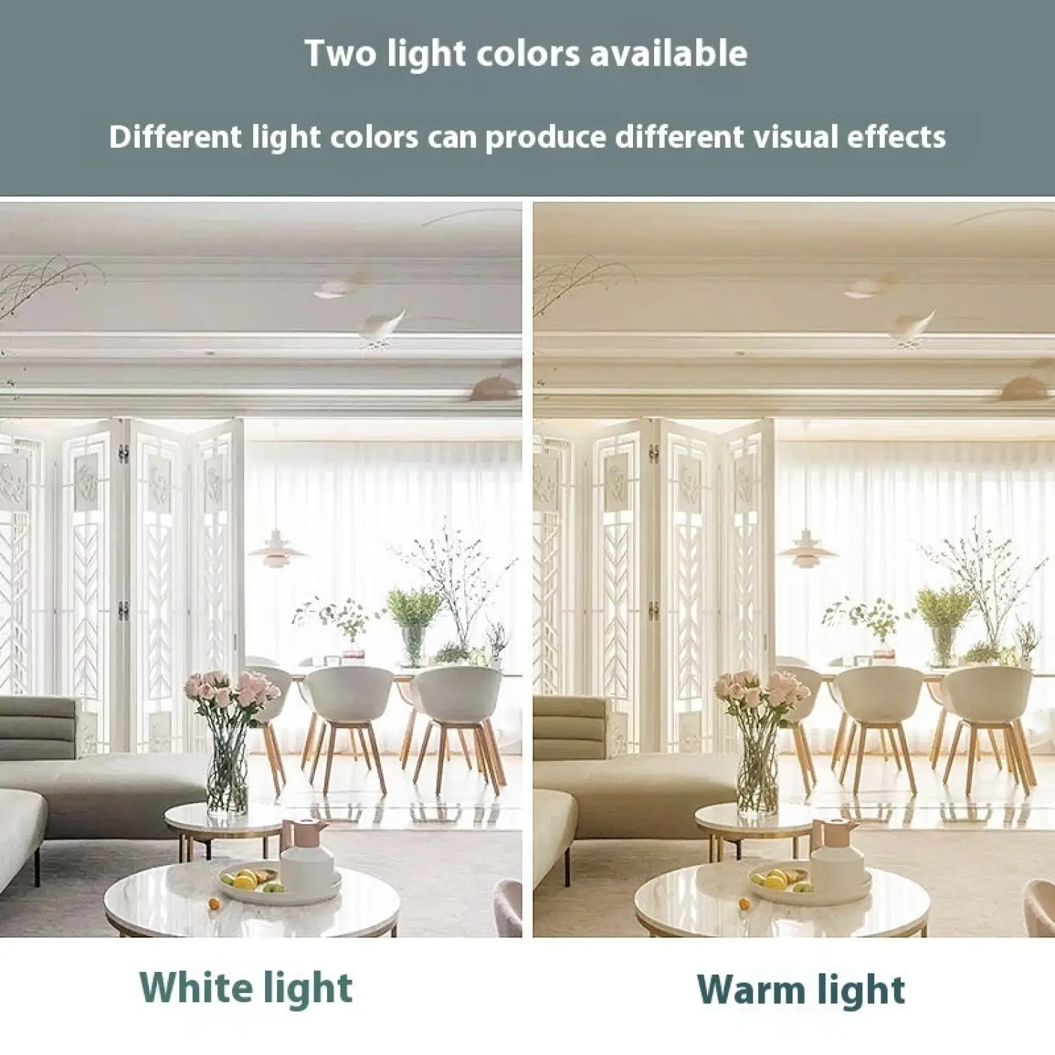 Modern Ceiling Spot Light with Aluminum Body for Stylish Interiors - Image 3