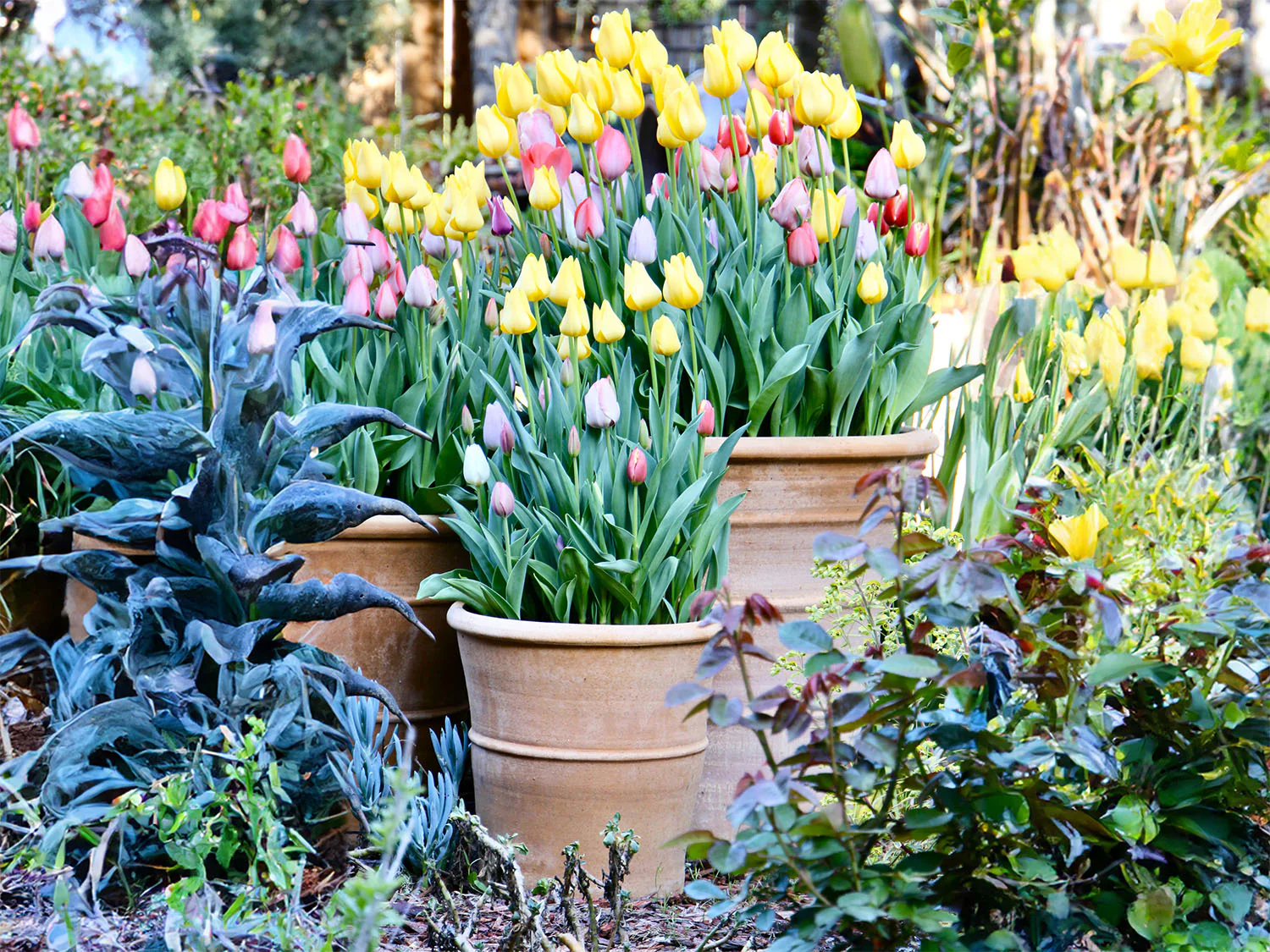 Monahou Planter By Plantatorem - Image 2