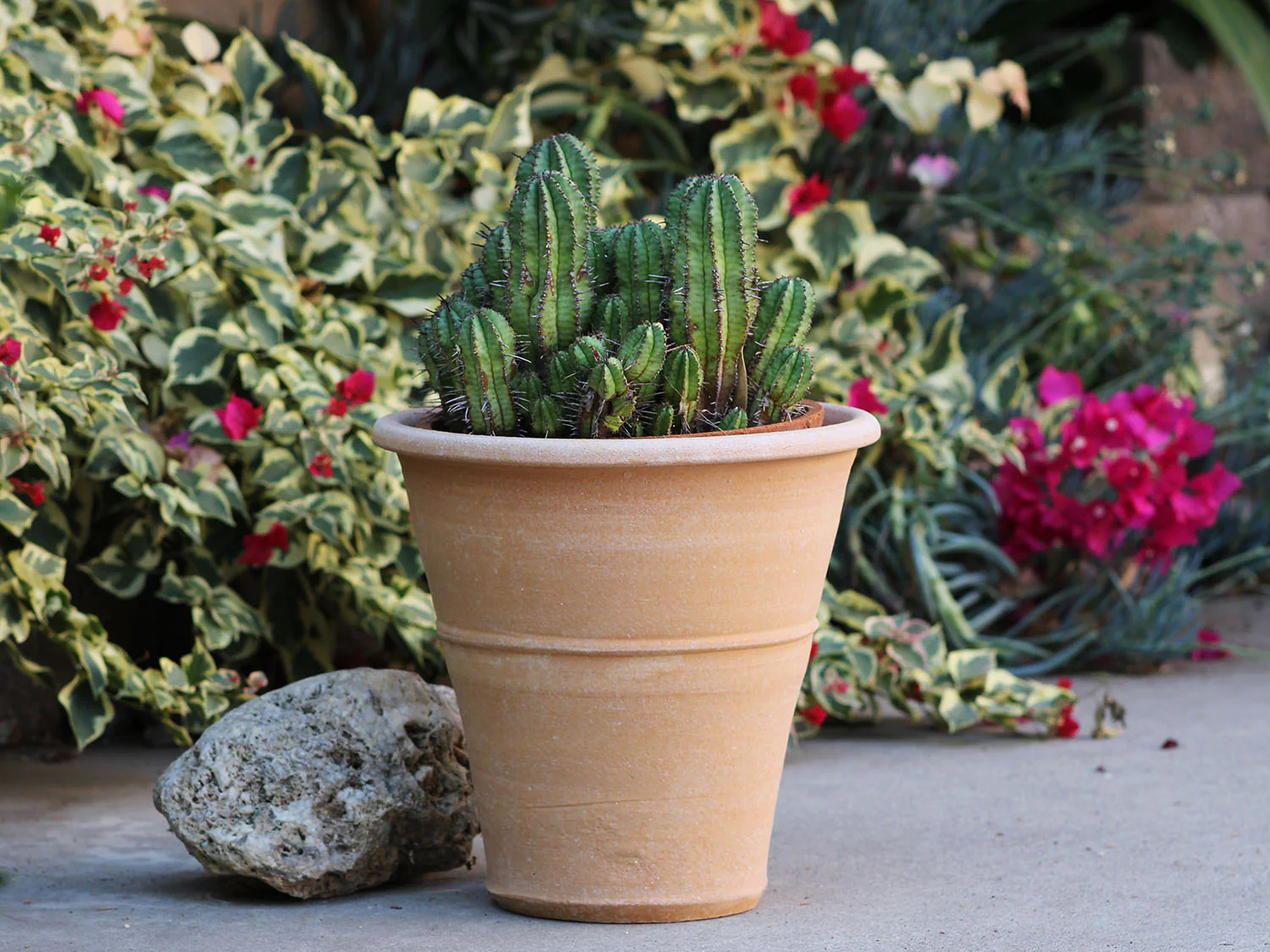 Monahou Planter By Plantatorem - Image 3