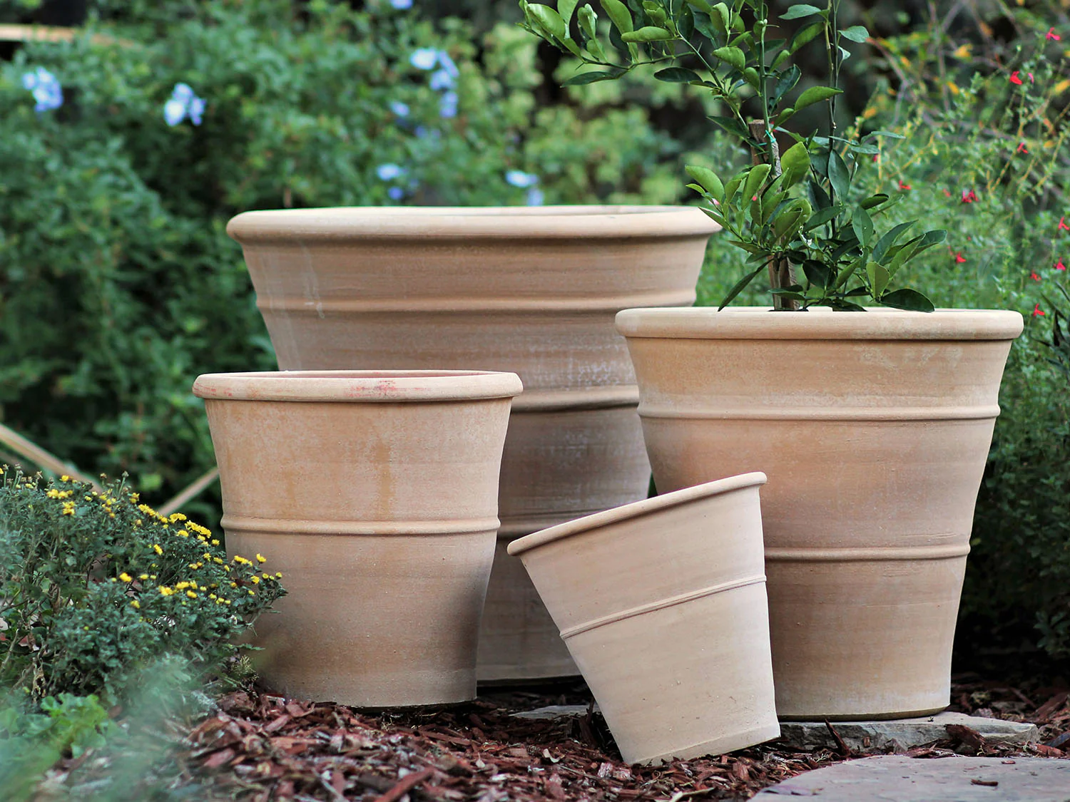 Monahou Planter By Plantatorem - Image 5